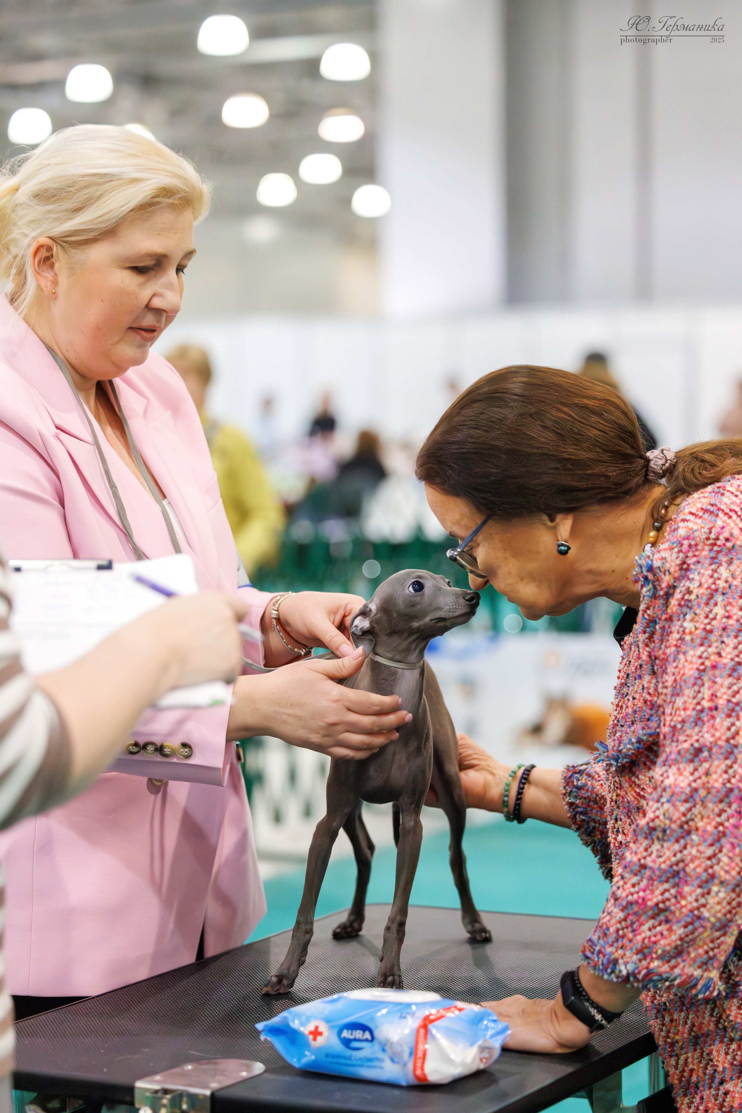 Гран-При 8.02.2025 и Крокус 09.02.2025. Фотограф-анималист Юлия Германика