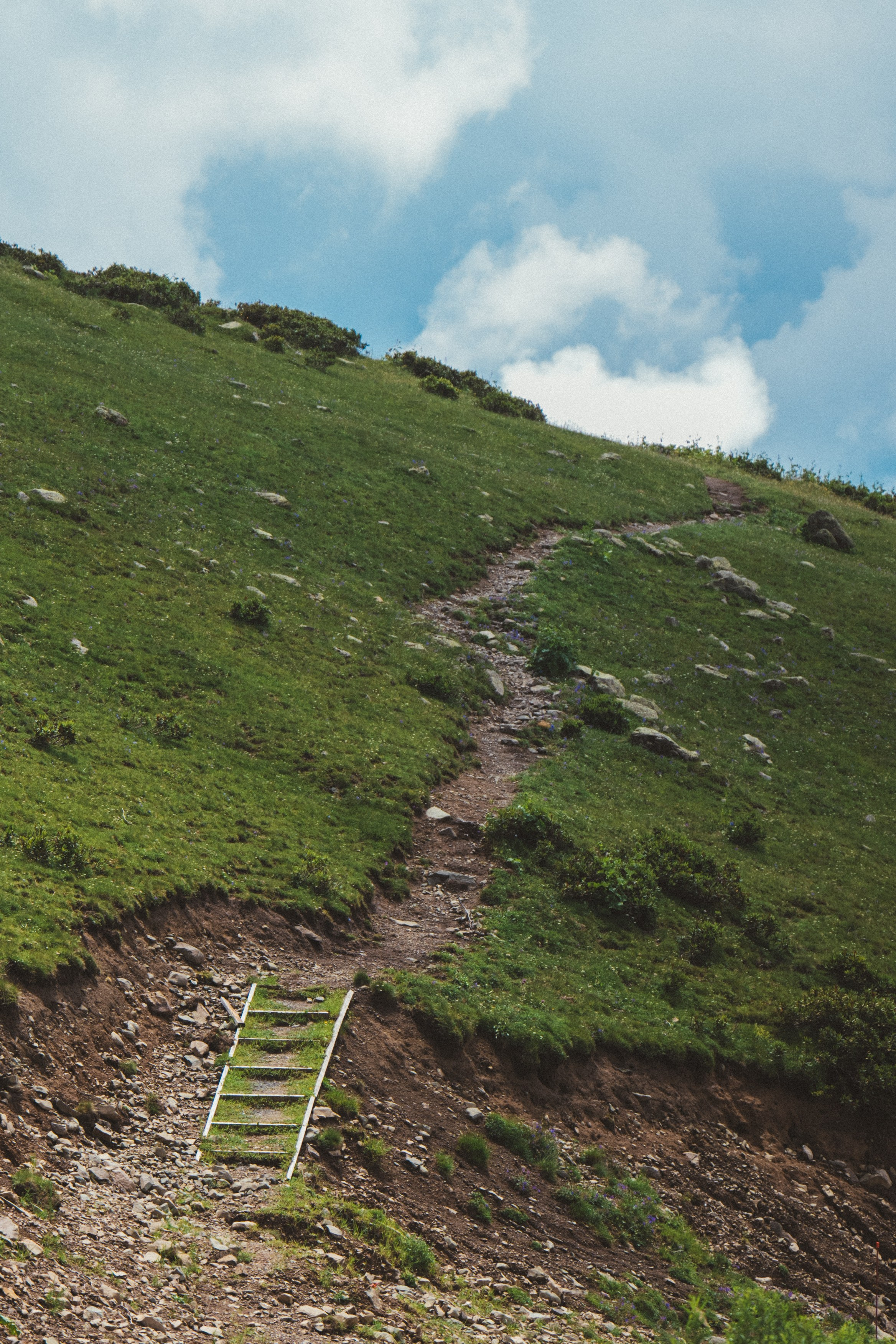Нахазо ✽ Июль. Репортажный фотограф | Роза Хутор Красная Поляна Сочи Сириус