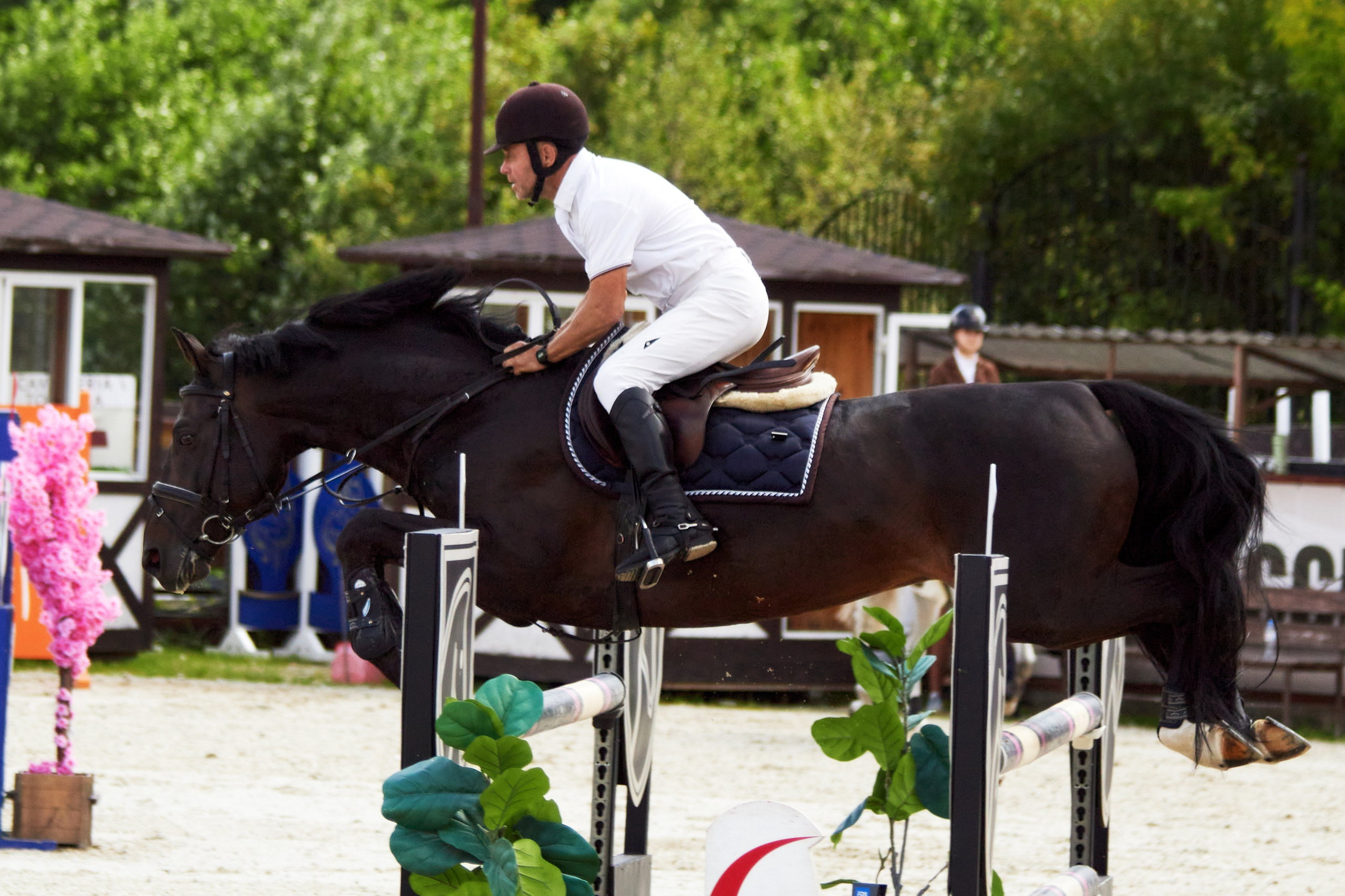 Конкур в «Виват, Россия». Фотограф анималист — Тула, Москва