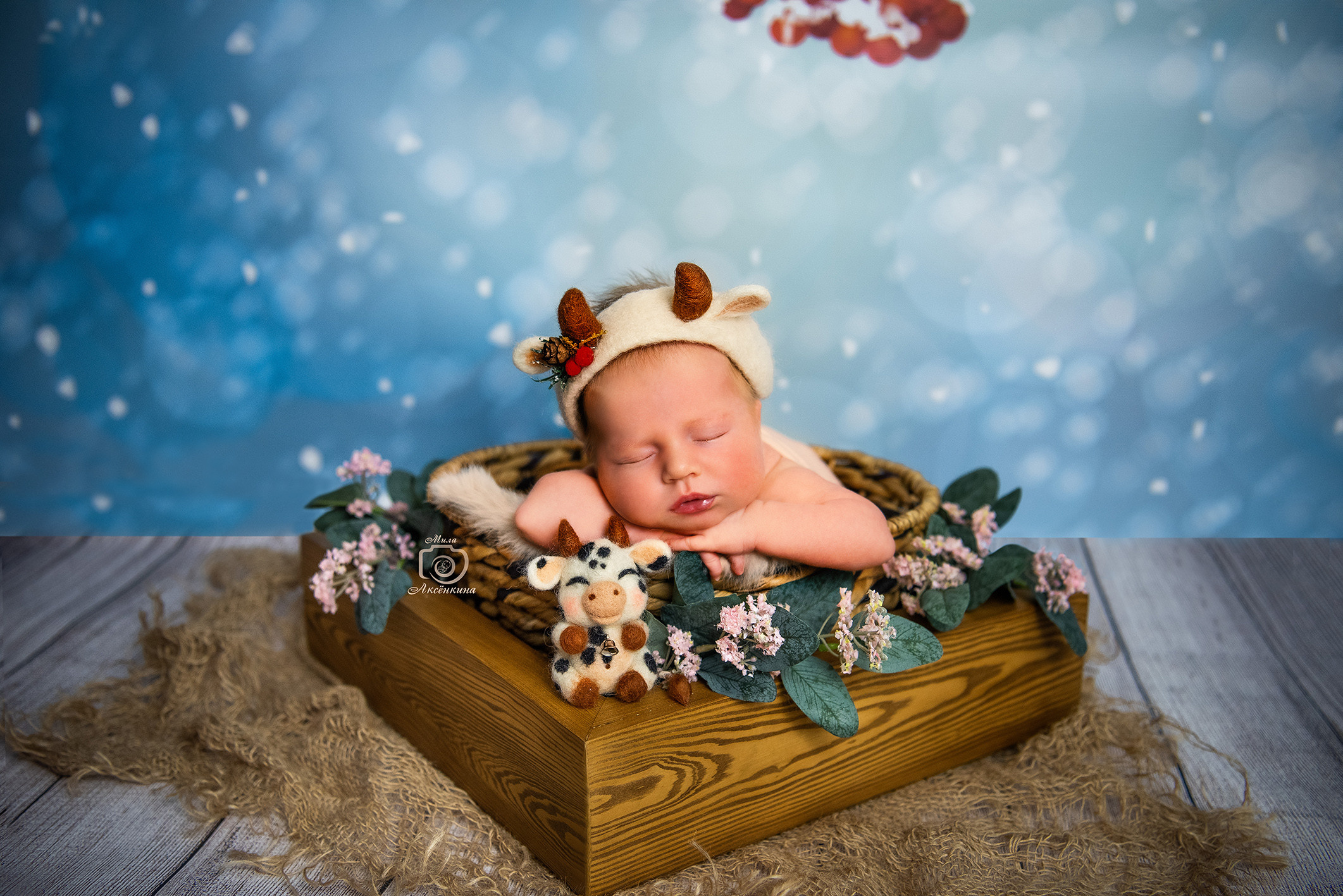 Портфолио новорожденных. Фотограф в Нефтеюганске Мила Аксёнкина