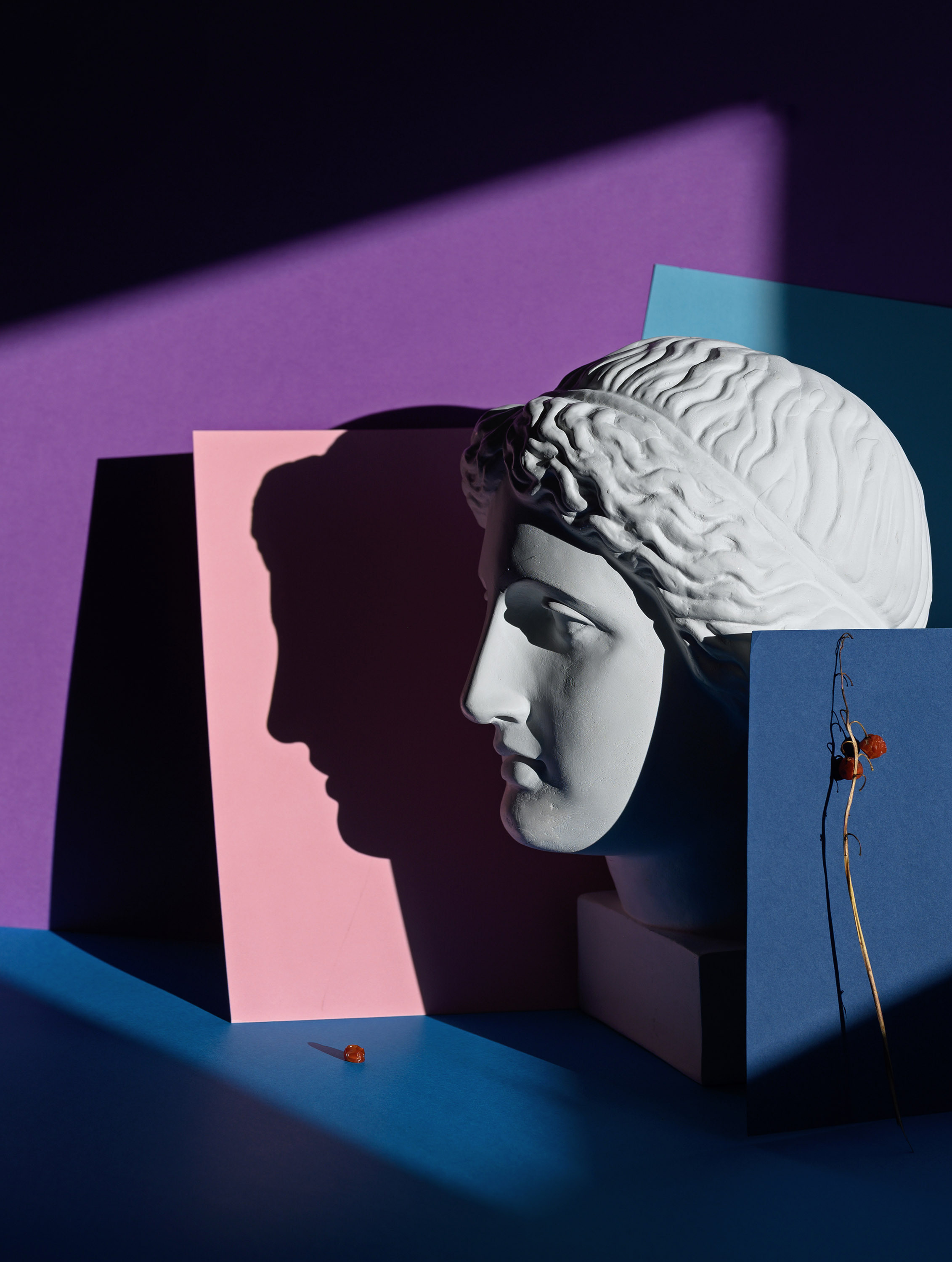 фиолетовый, профиль, ландыш, античный, фактура