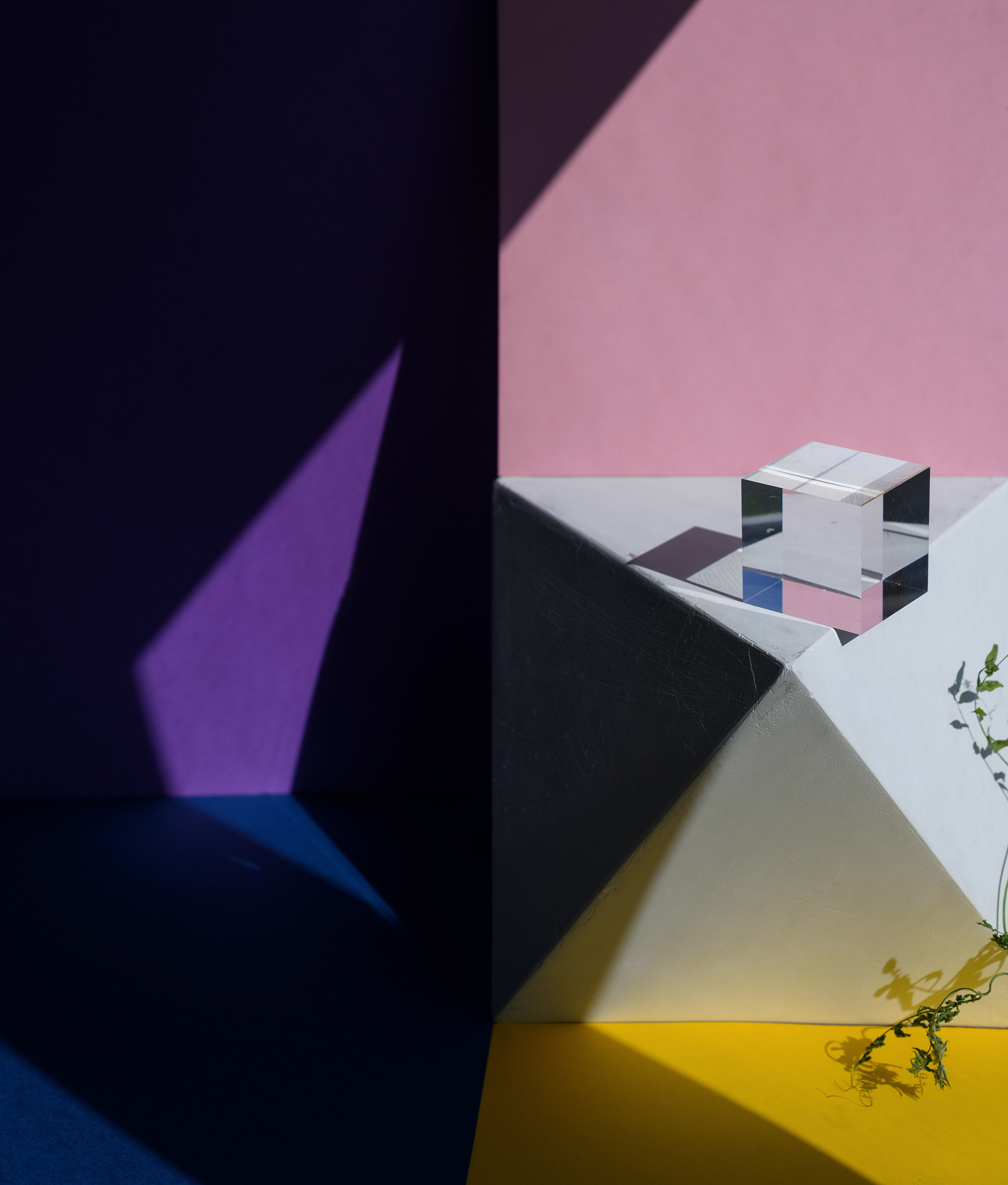 розовый, акрил, растение, искусство, многогранник