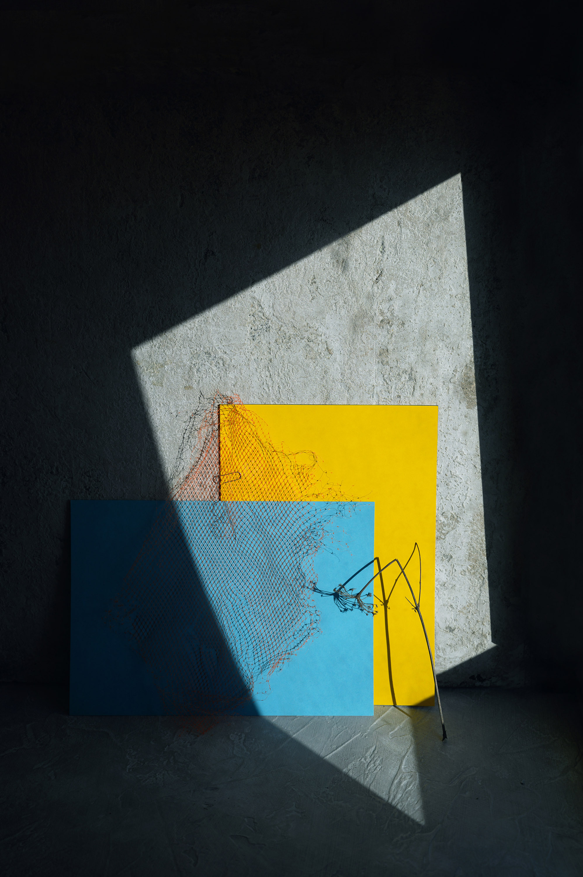 желтый, фигура, ветвь, узор, тень