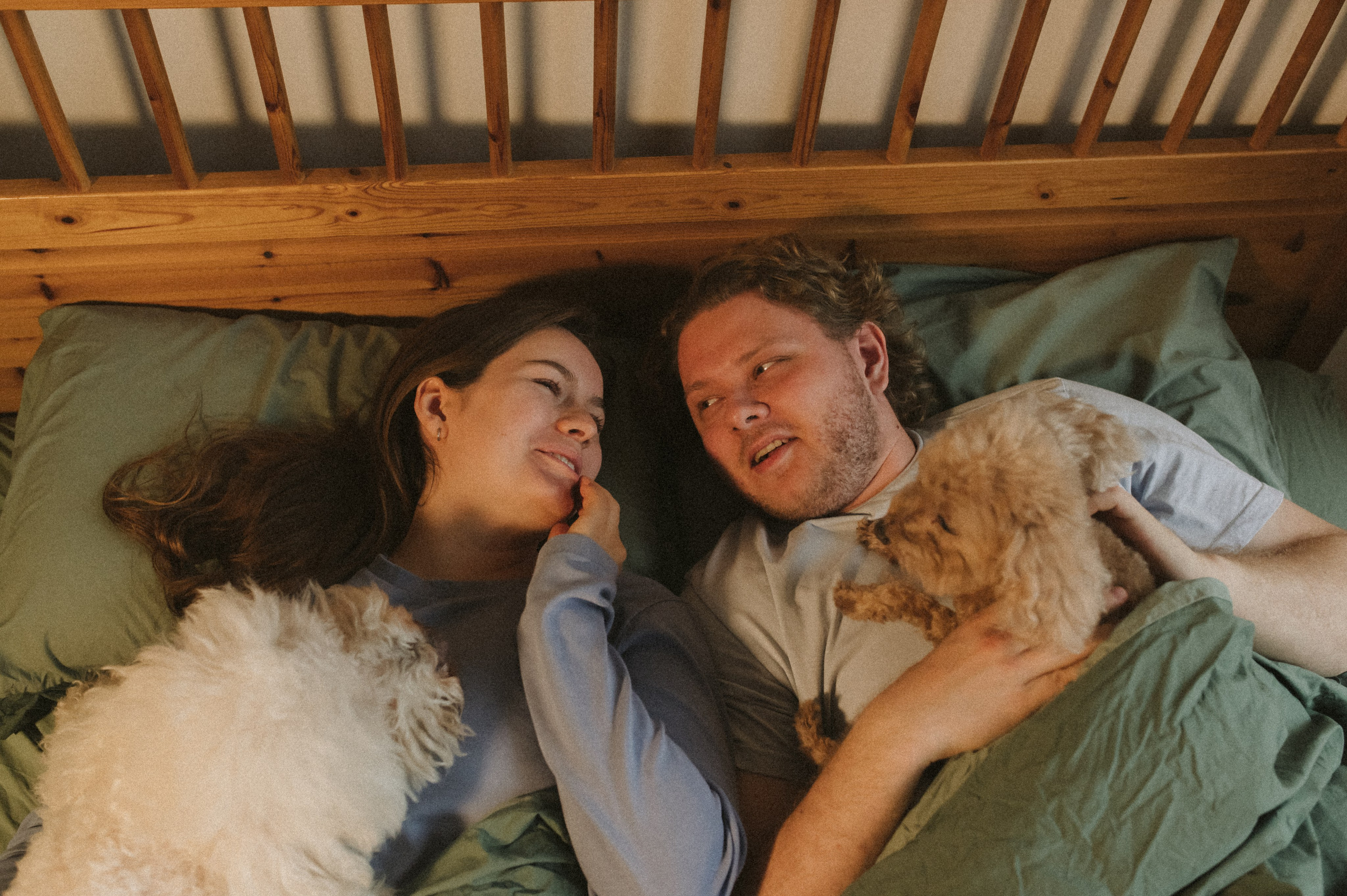 Ання и её кудрявая команда. Фотограф анималист в Москве Ольга Агушева