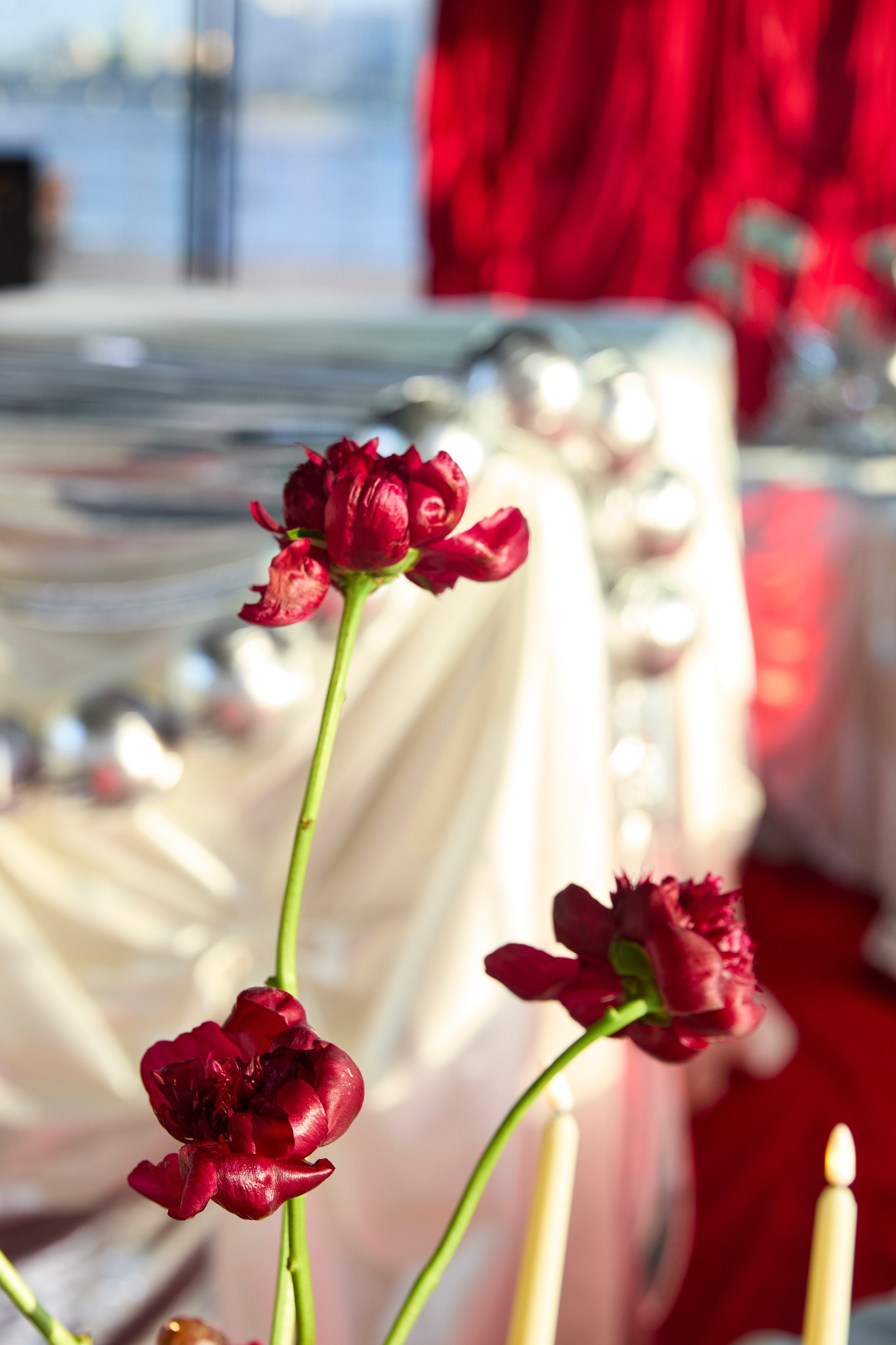 Роял Бич. Свадебный фотограф Анастасия Казакова