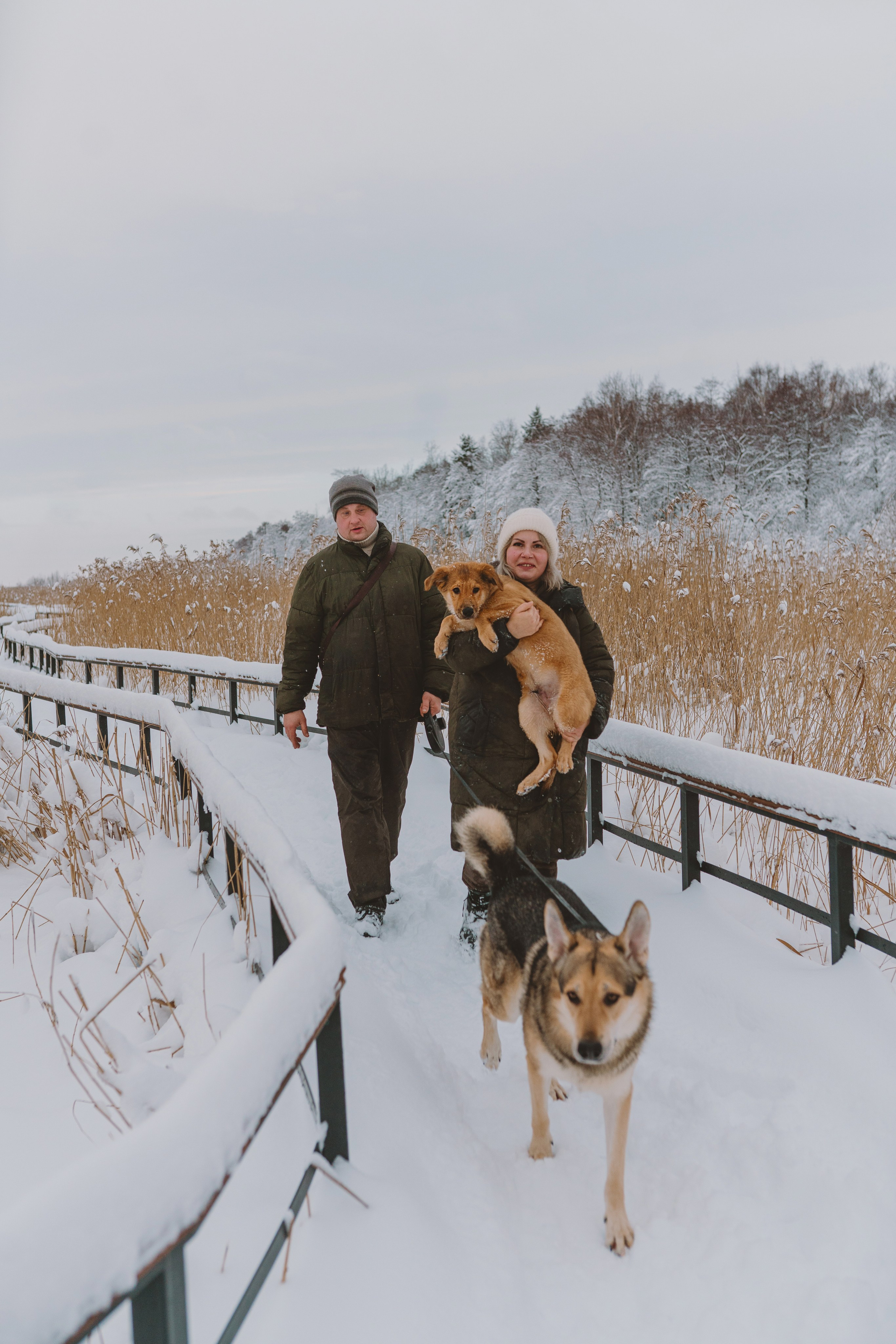 Фотосессия с питомцами на природе. Фотограф анималист в Спб недорого Олеся Майорова