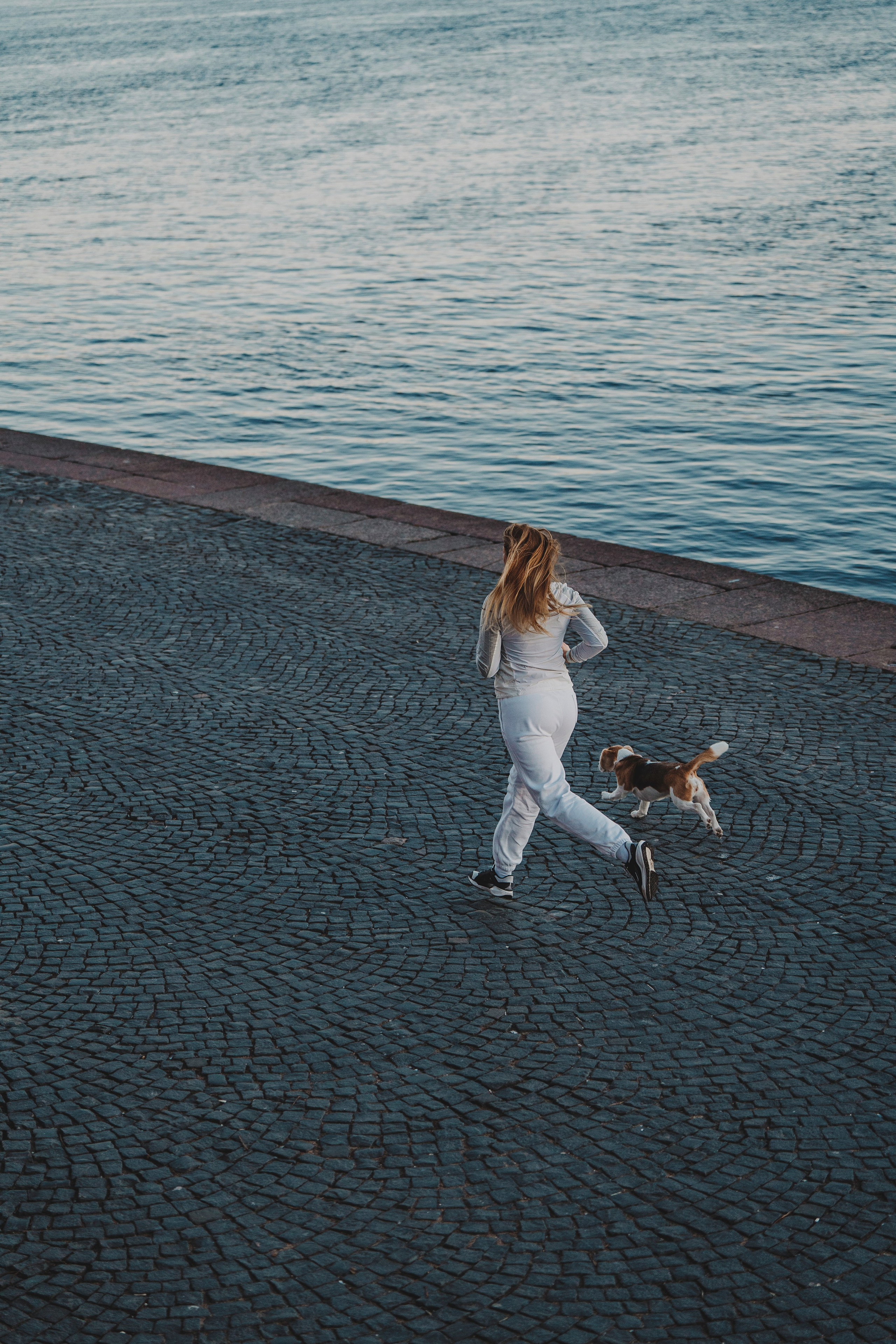 Ксения и Гаечка. Фотограф анималист в Спб недорого Олеся Майорова