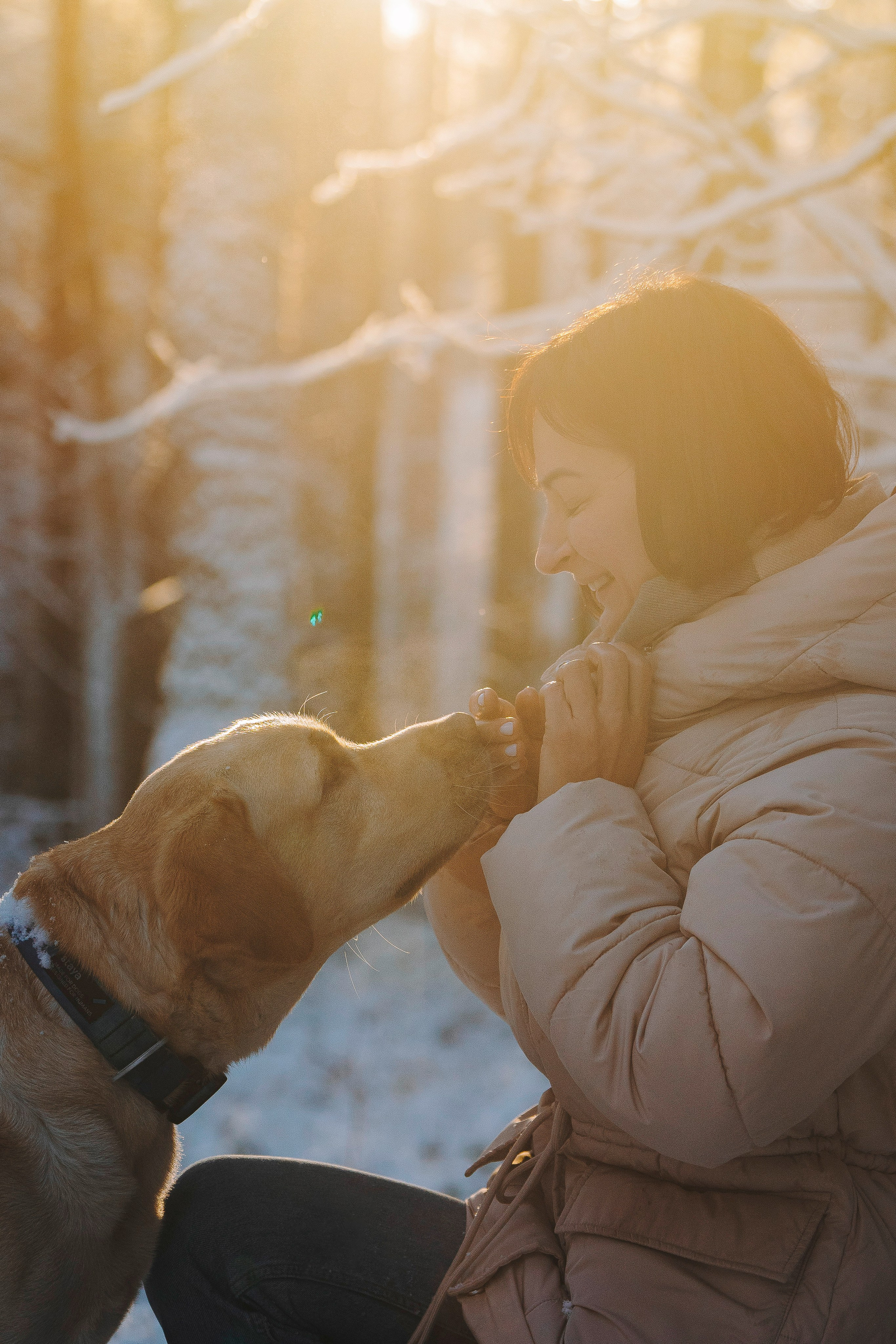 Аня и Честер. Фотограф анималист в Спб недорого Олеся Майорова