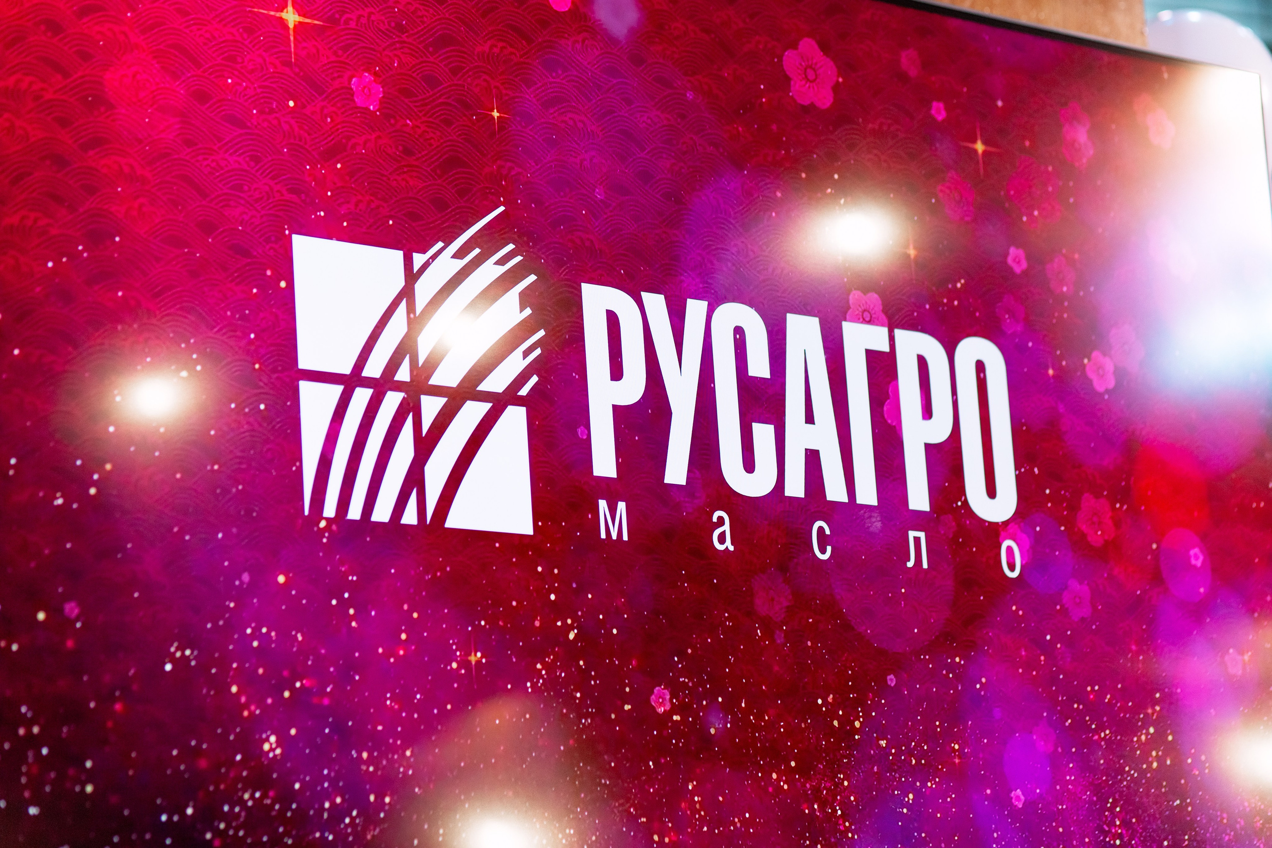 Репортажный фотограф в Нижнем Новгороде. Фотограф в Нижнем Новгороде Александр Хамов