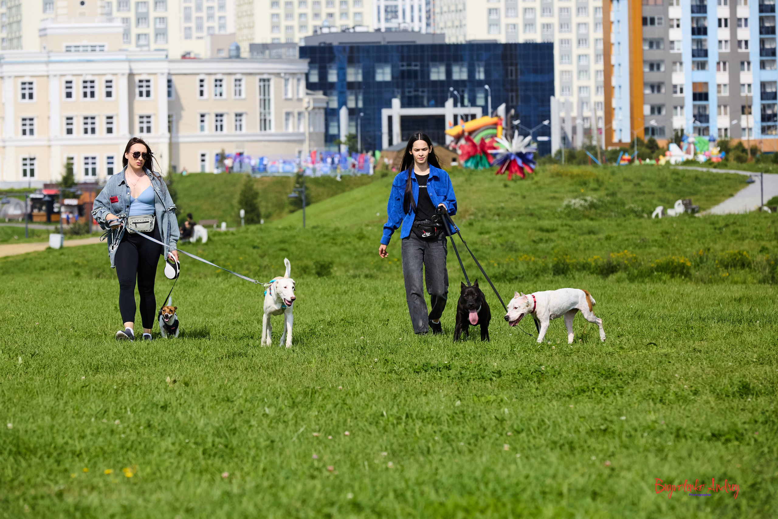 Проект фотопрогулка с хвостиком. Buyvolenko Andrey