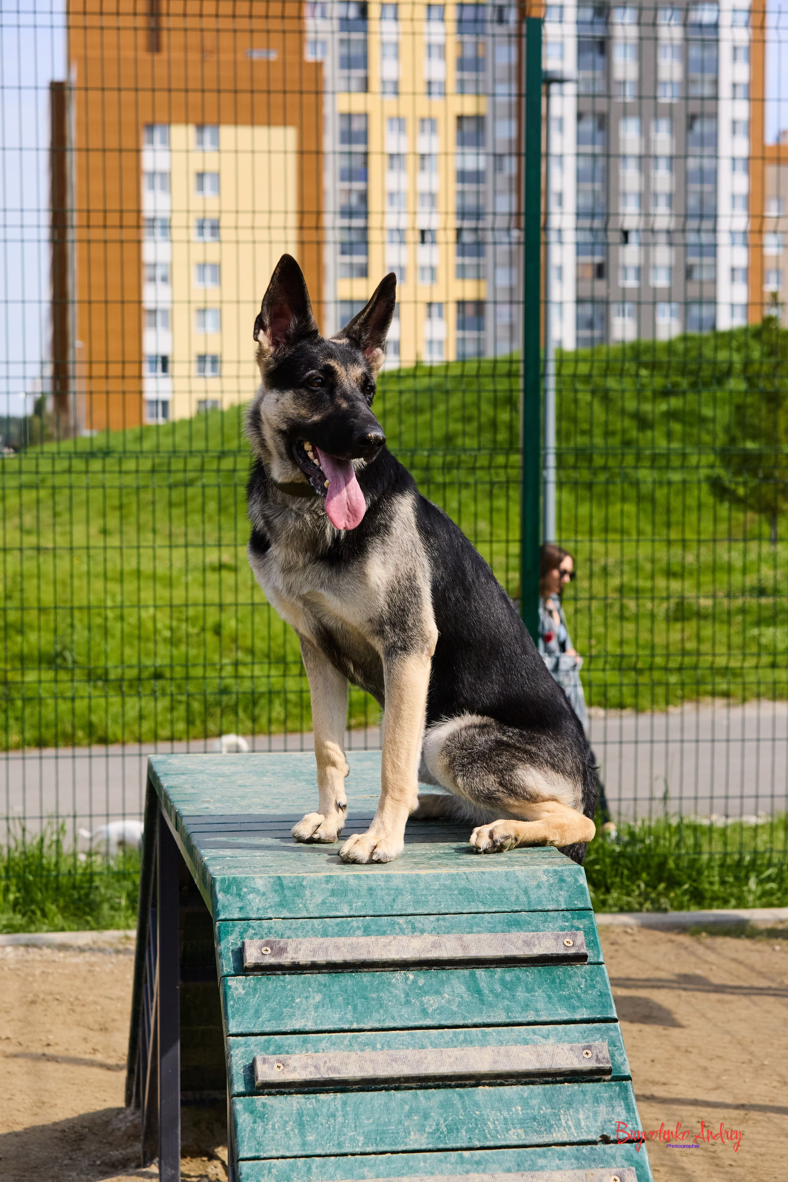 Проект фотопрогулка с хвостиком. Buyvolenko Andrey