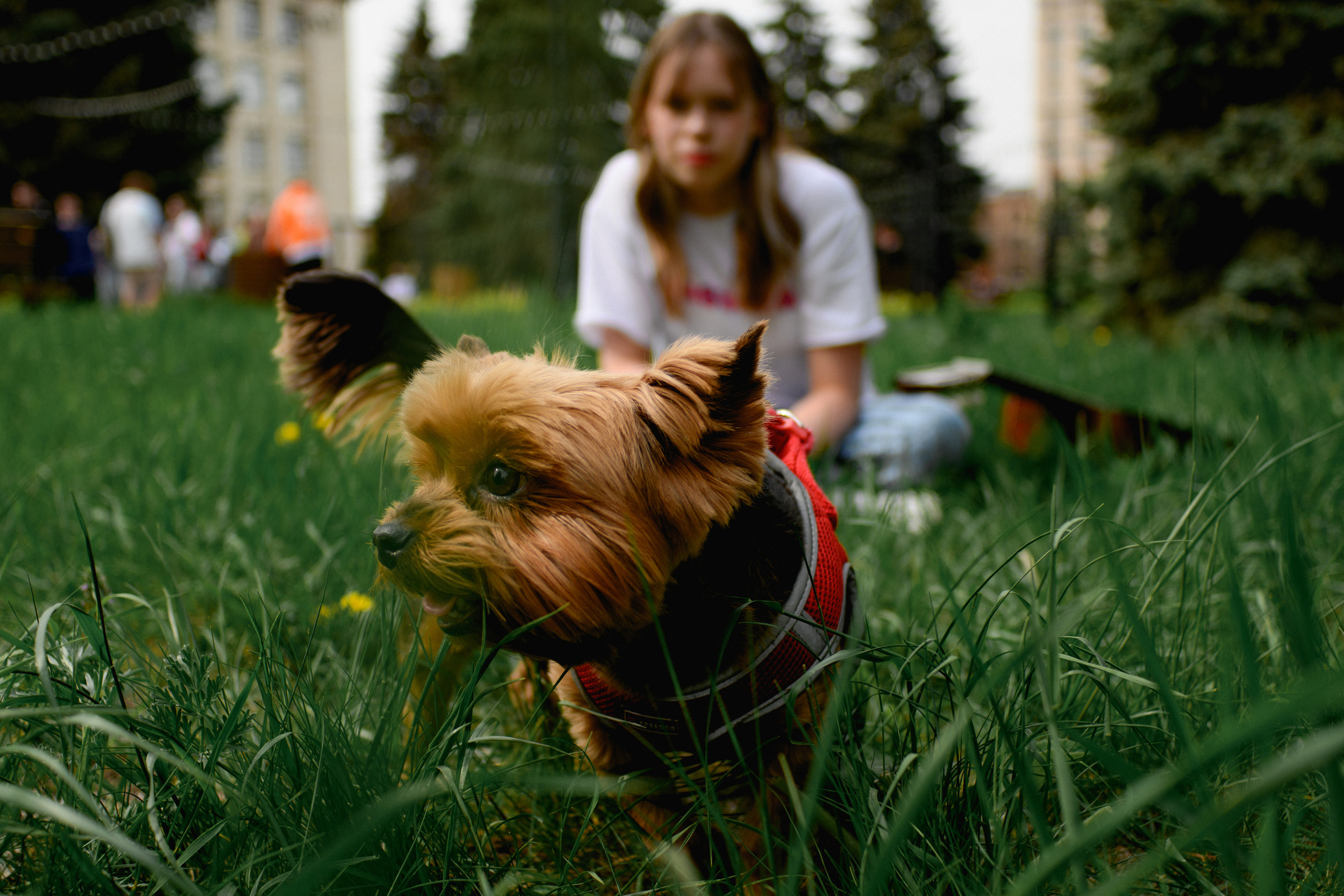 Виталина с родителями. Фотограф в Челябинске Любовь Денисенко