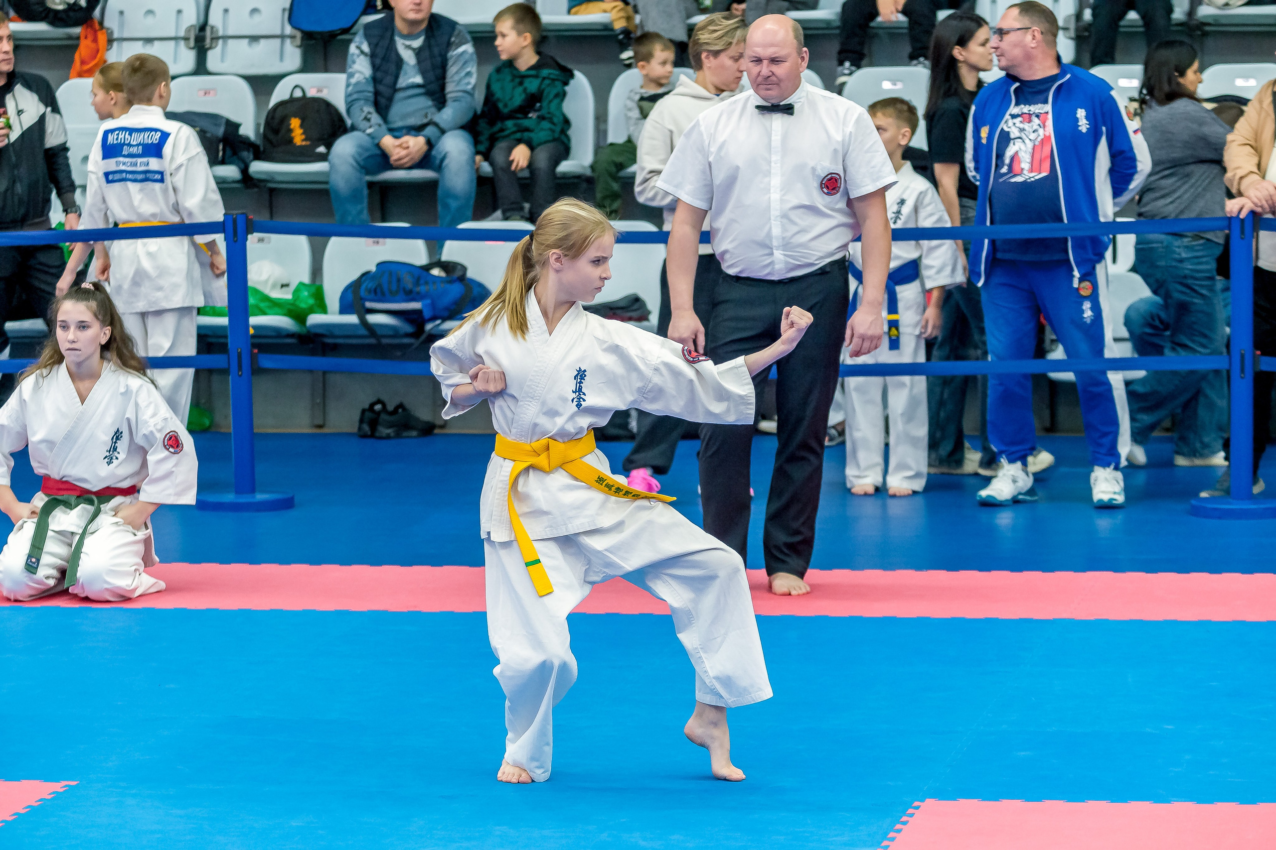 Соревнования по Киокушин памяти С. Увицкого. Репортажная съемка в Москве и области. Анималистика