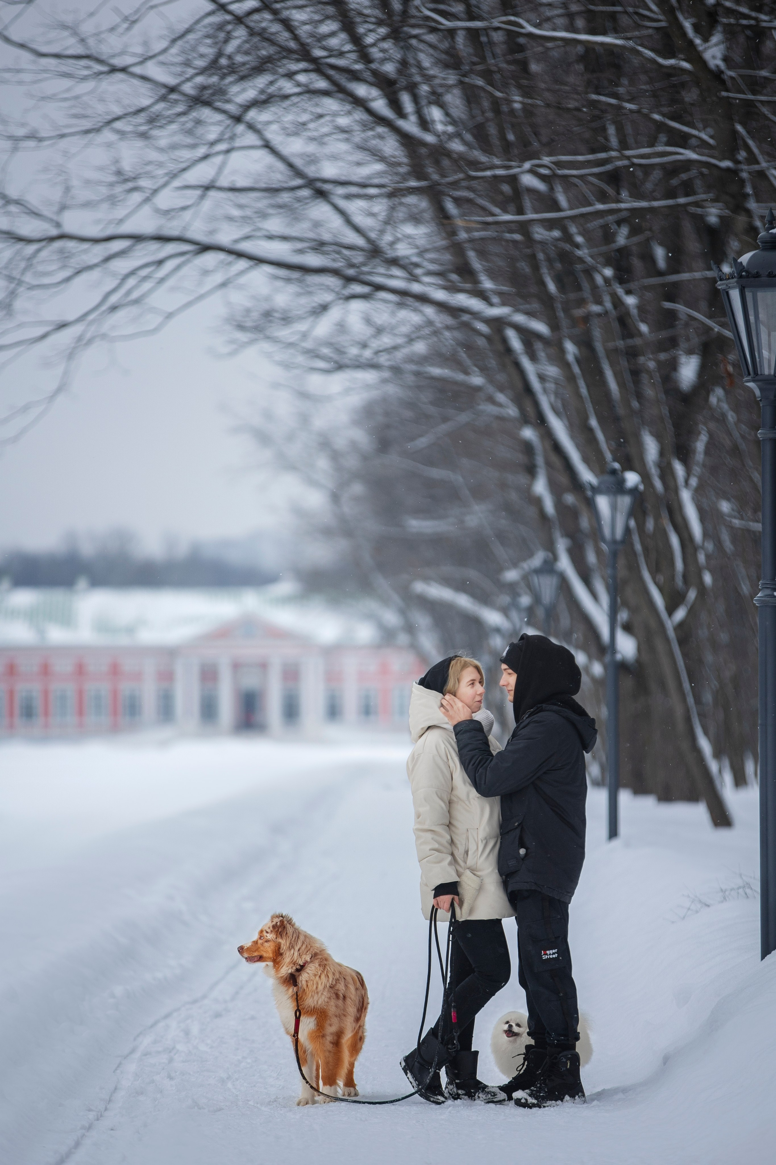 Настя, Игорь, Тесс и Марс. Фотограф анималист в Москве Майорова Евгения