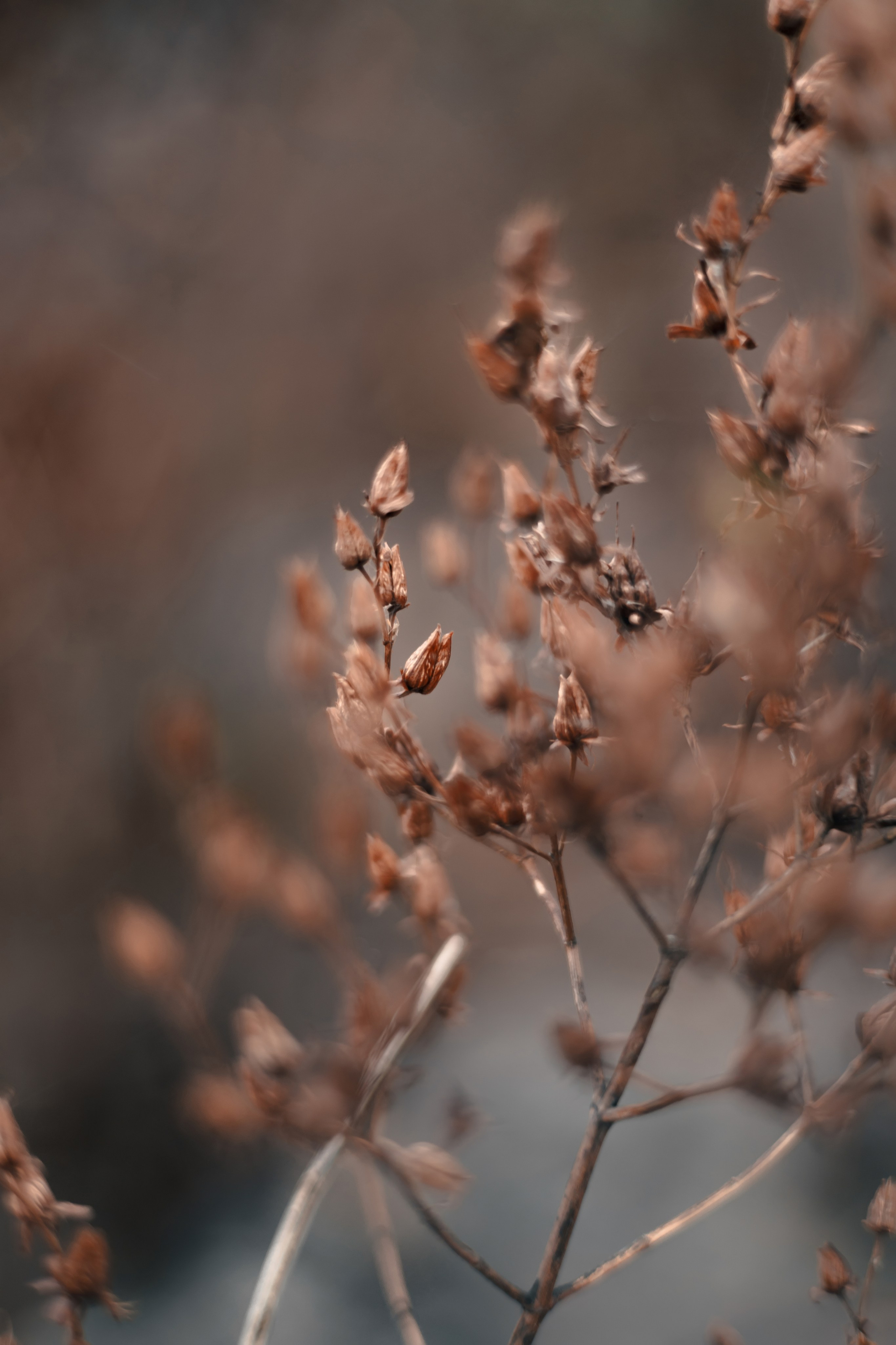 1-й Северный форт Кронштадт