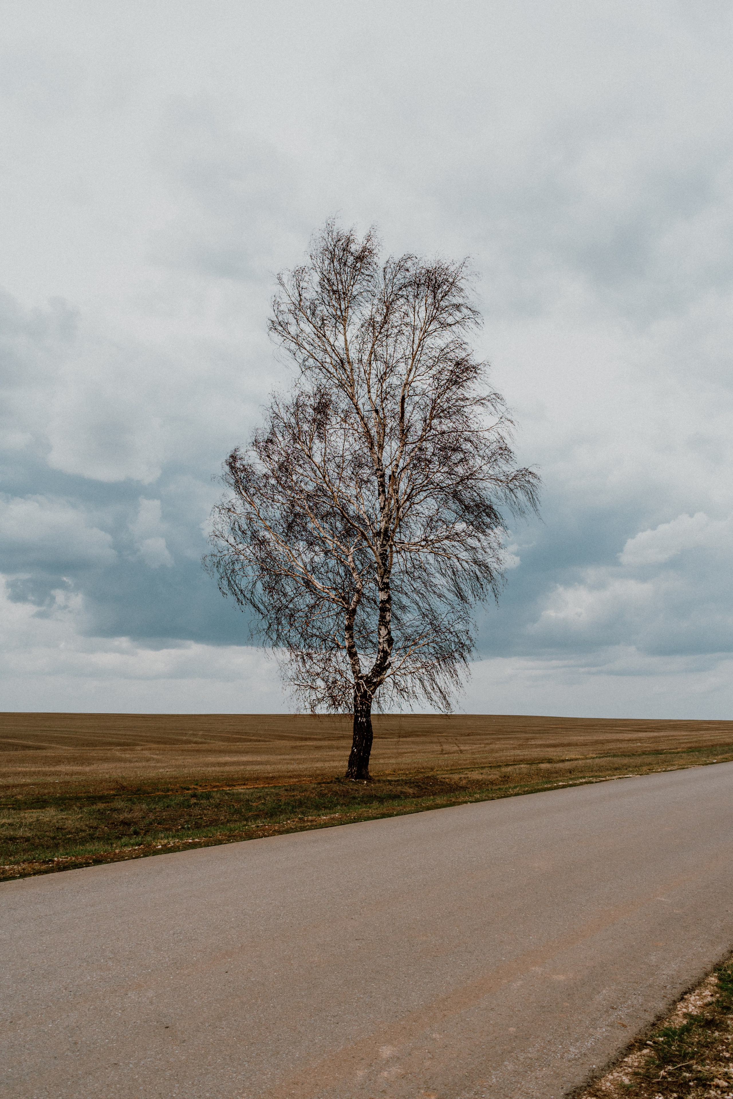 Фотограф/видеограф Богдан Голованов