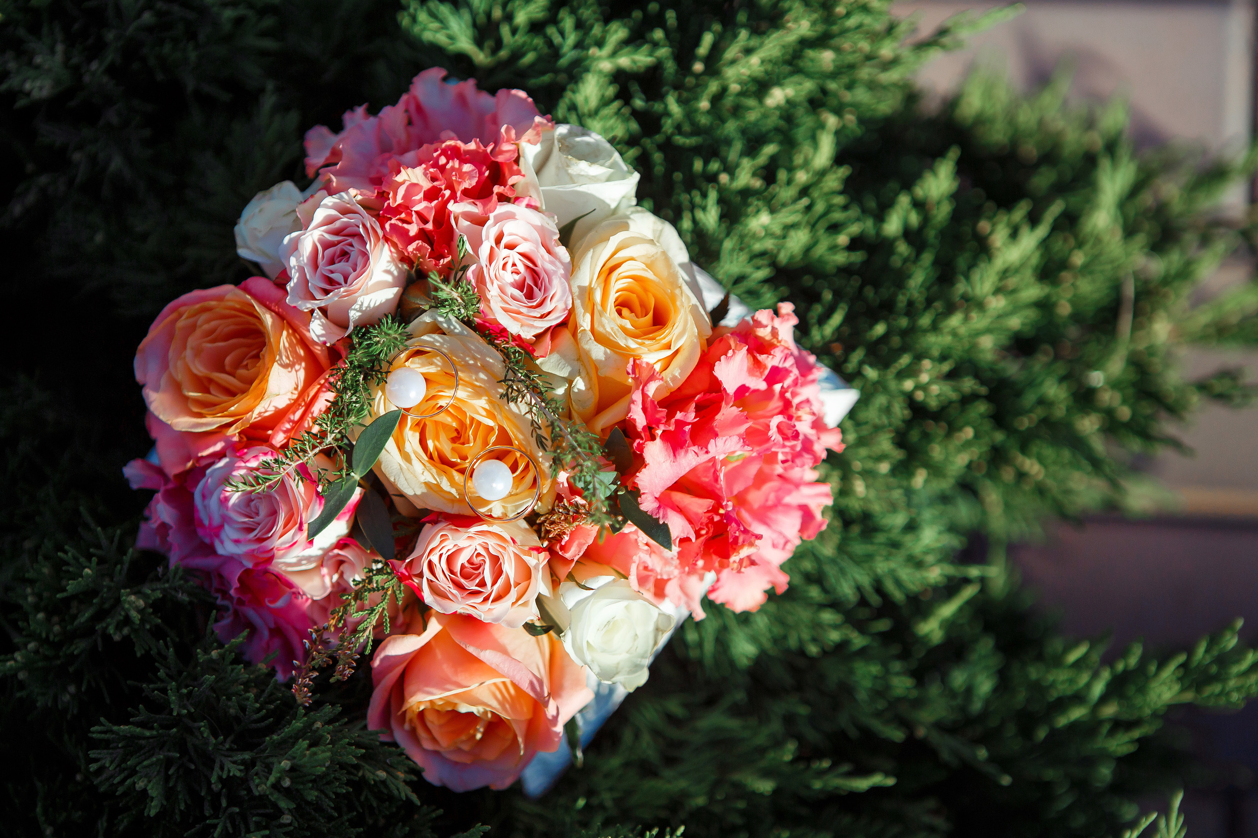 Осенняя свадебная фотосессия в Липецке. Свадебный и портретный Фотограф в Липецке Дмитрий Котюков