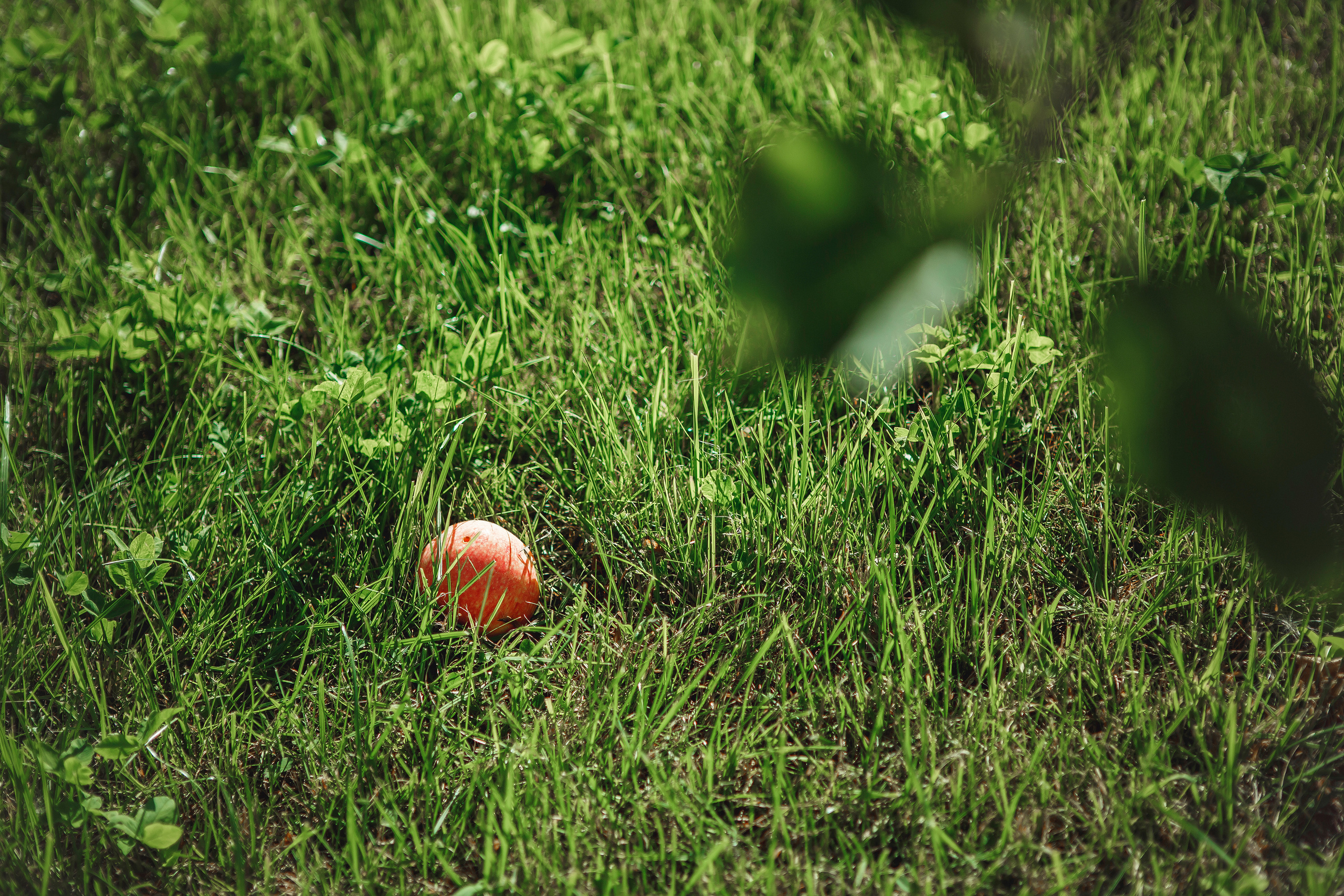 Свадьба молодых Липецк. Свадебный и портретный Фотограф в Липецке Дмитрий Котюков