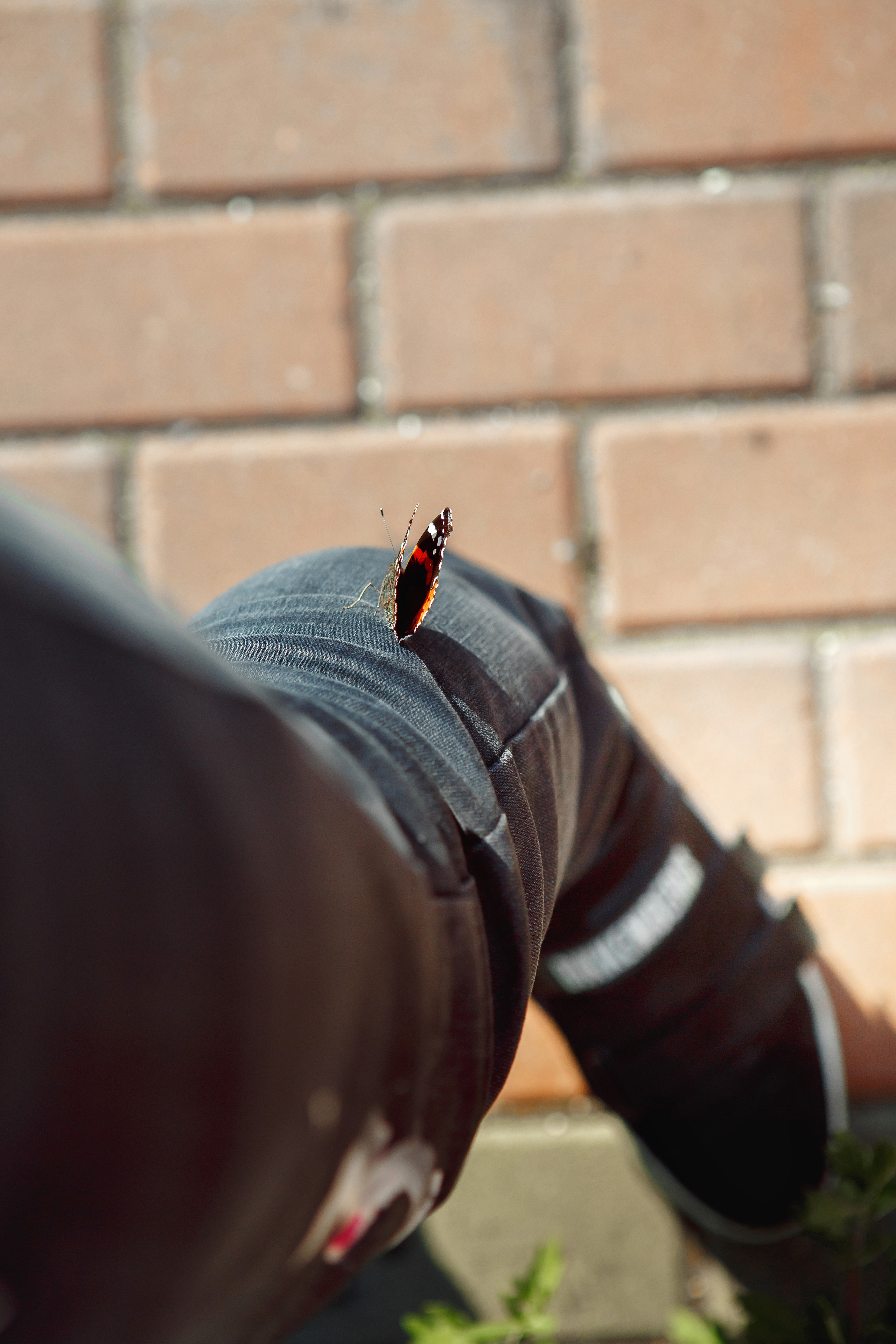 Свадебная фотосессия в ЗАГСе Липецка. Свадебный и портретный Фотограф в Липецке Дмитрий Котюков