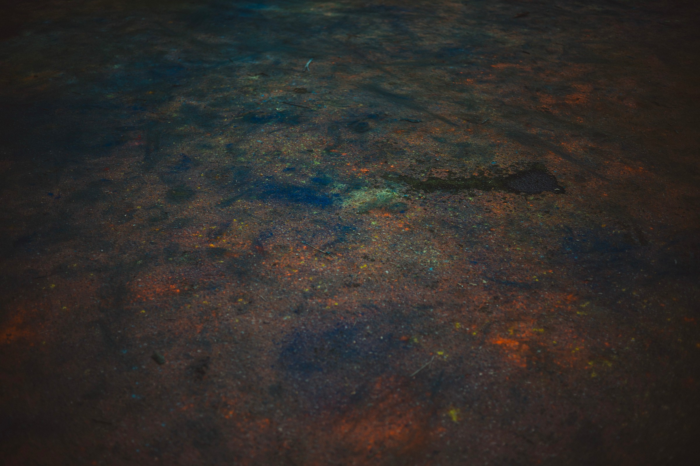 Holi. Самид Али, фотограф из Санкт-Петербурга, Россия