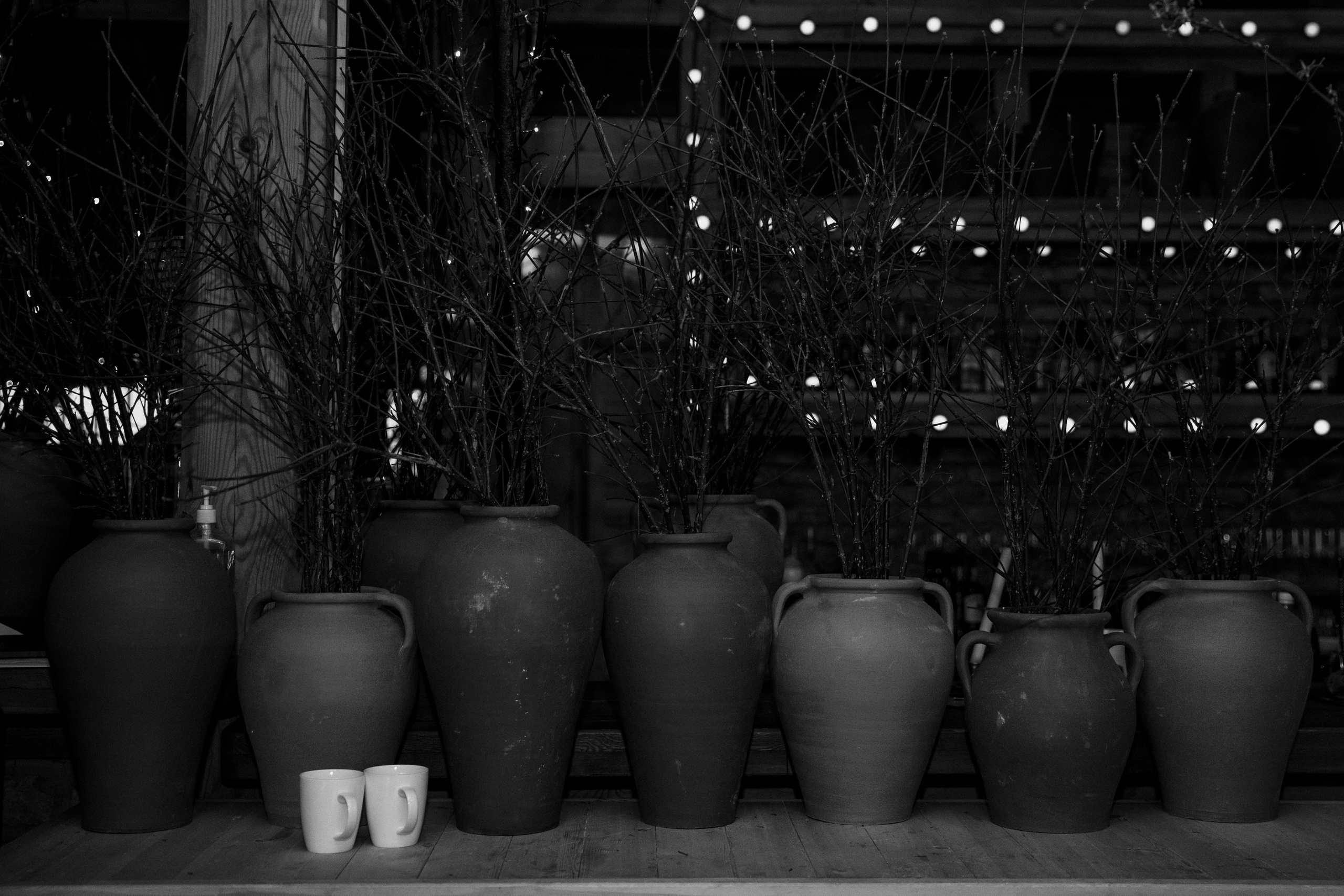 Анонс со свадьбы Нурбай и Ассель. Свадебный фотограф в Алматы Николай Киреев