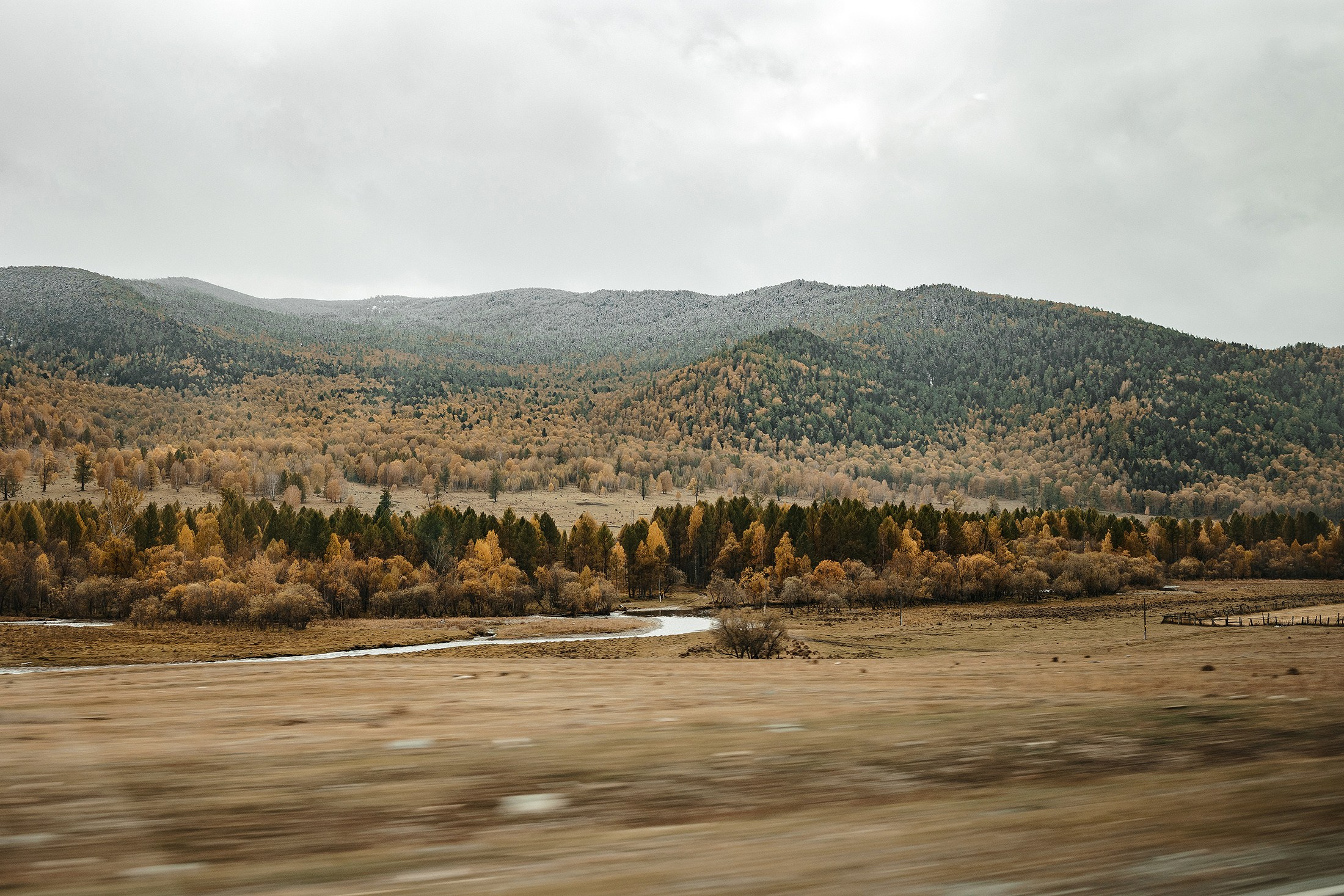 Женя и Яна. Свадебный фотограф в Москве и МО Александр Ласковенков