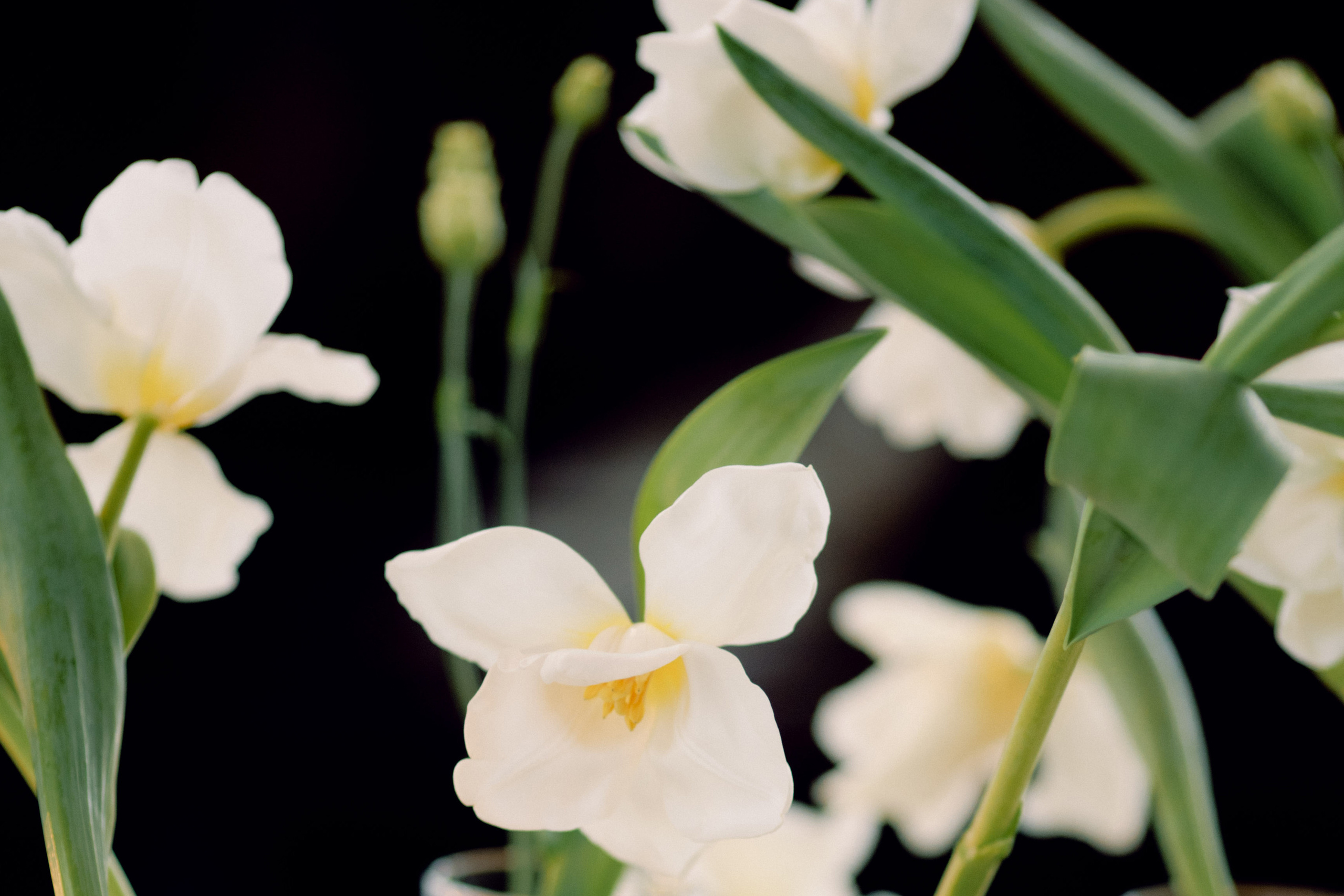 Женя и Алина. Свадебный и семейный фотограф в Красноярске Прохорова Екатерина