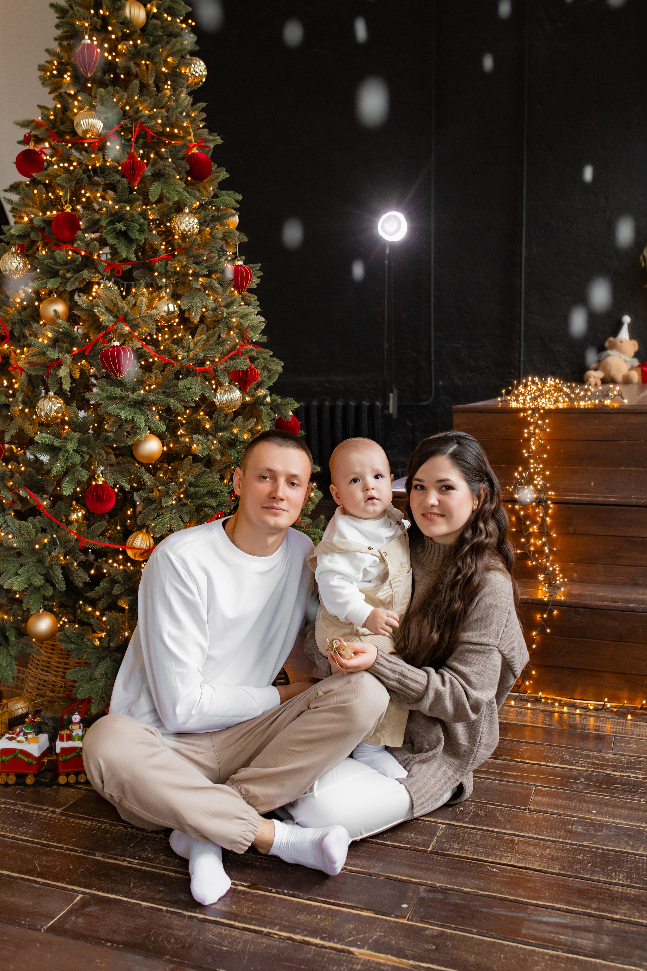 новогодняя фотосессия в студии 