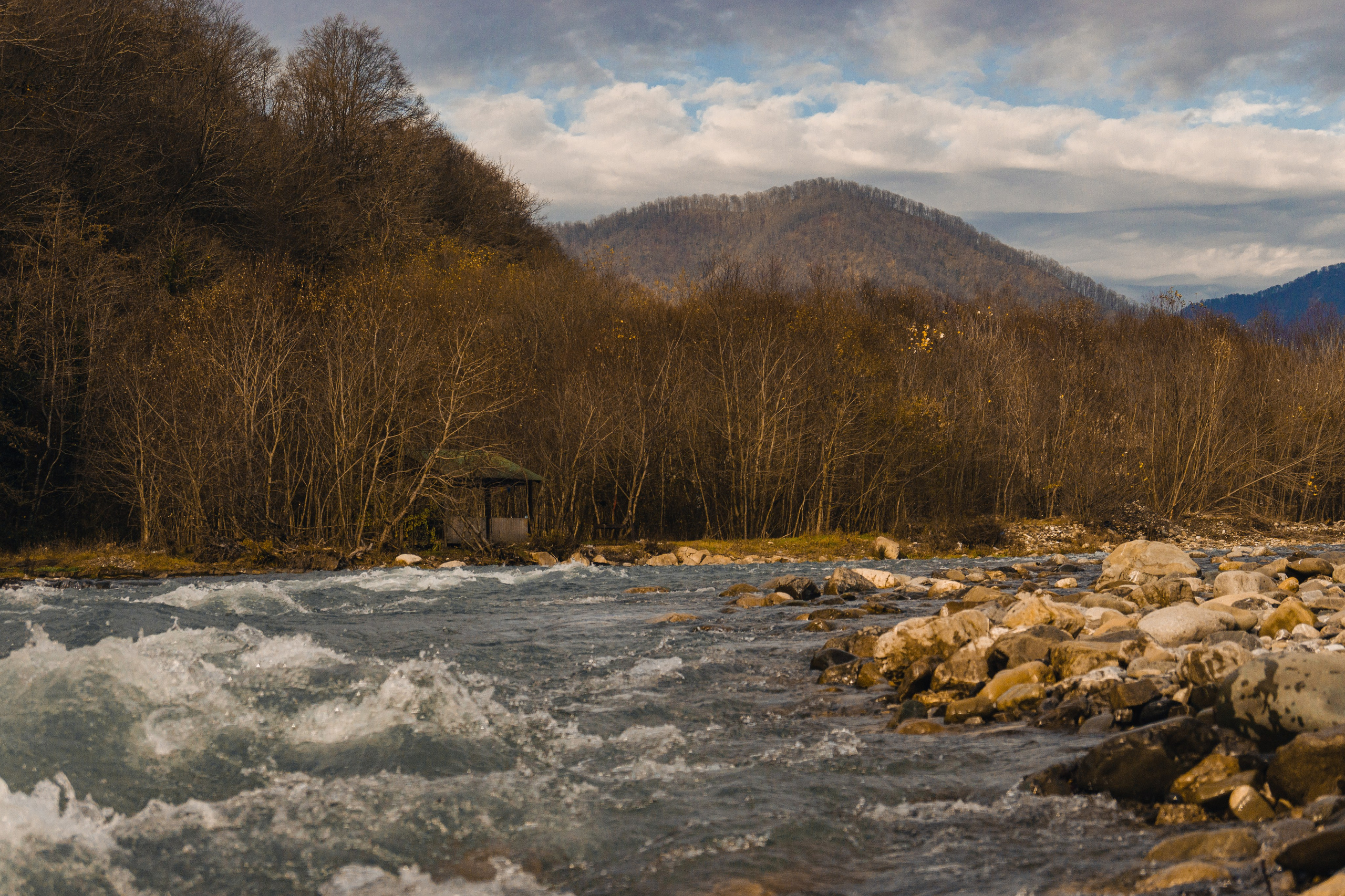 Фотографии Сочи, глазами гида-фотографа. Фотограф в Сочи Елена Лисотина. Фототуры в Сочи
