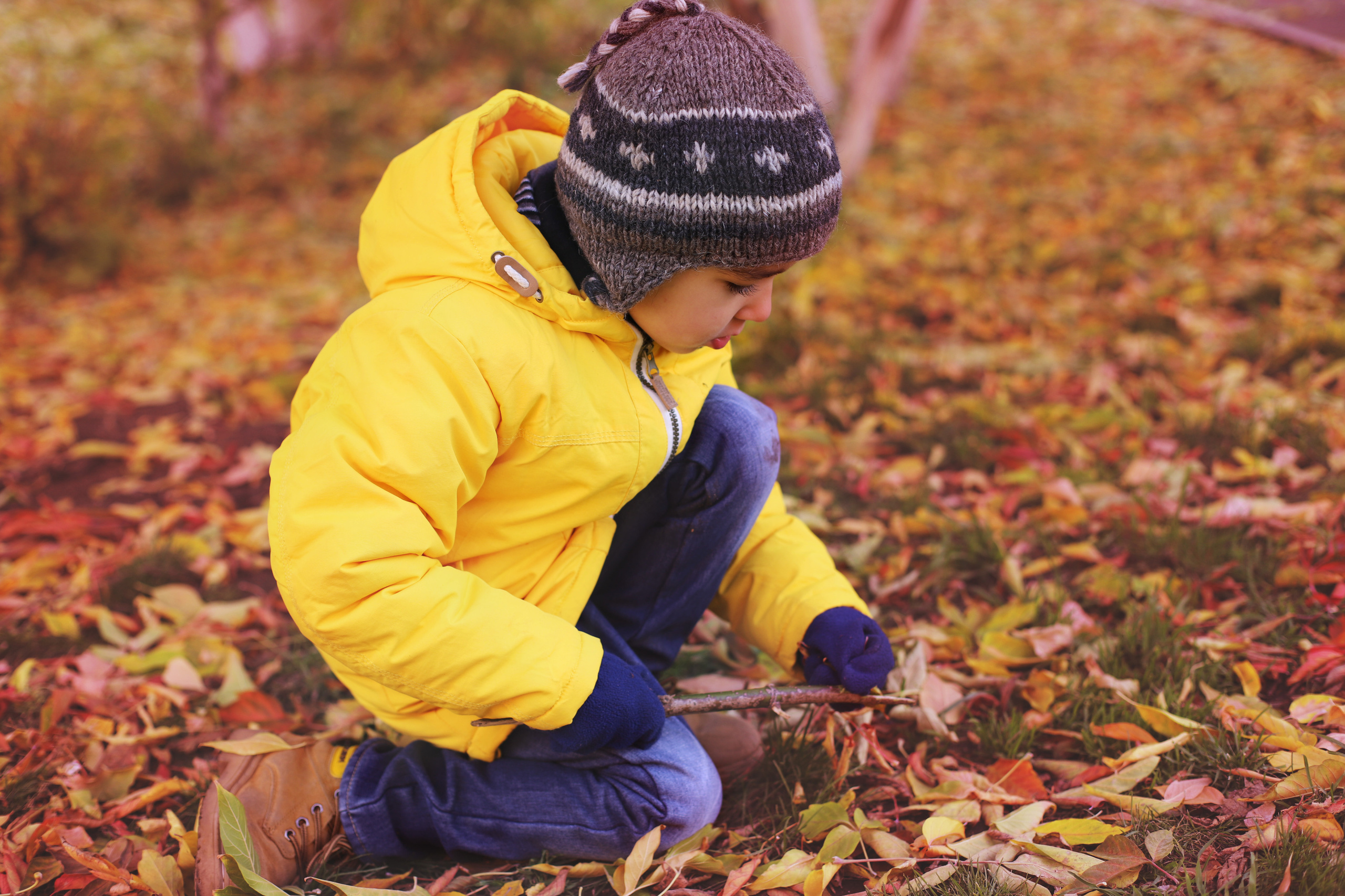 Желтая осень. Семейный и детский фотограф в Красноярске Анна Шори