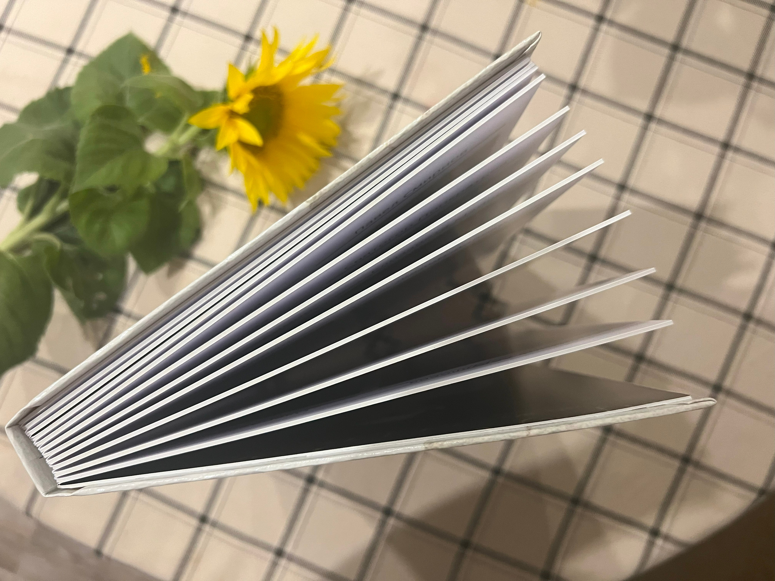 Выпускные альбомы. Семейный и детский фотограф в Красноярске Анна Шори