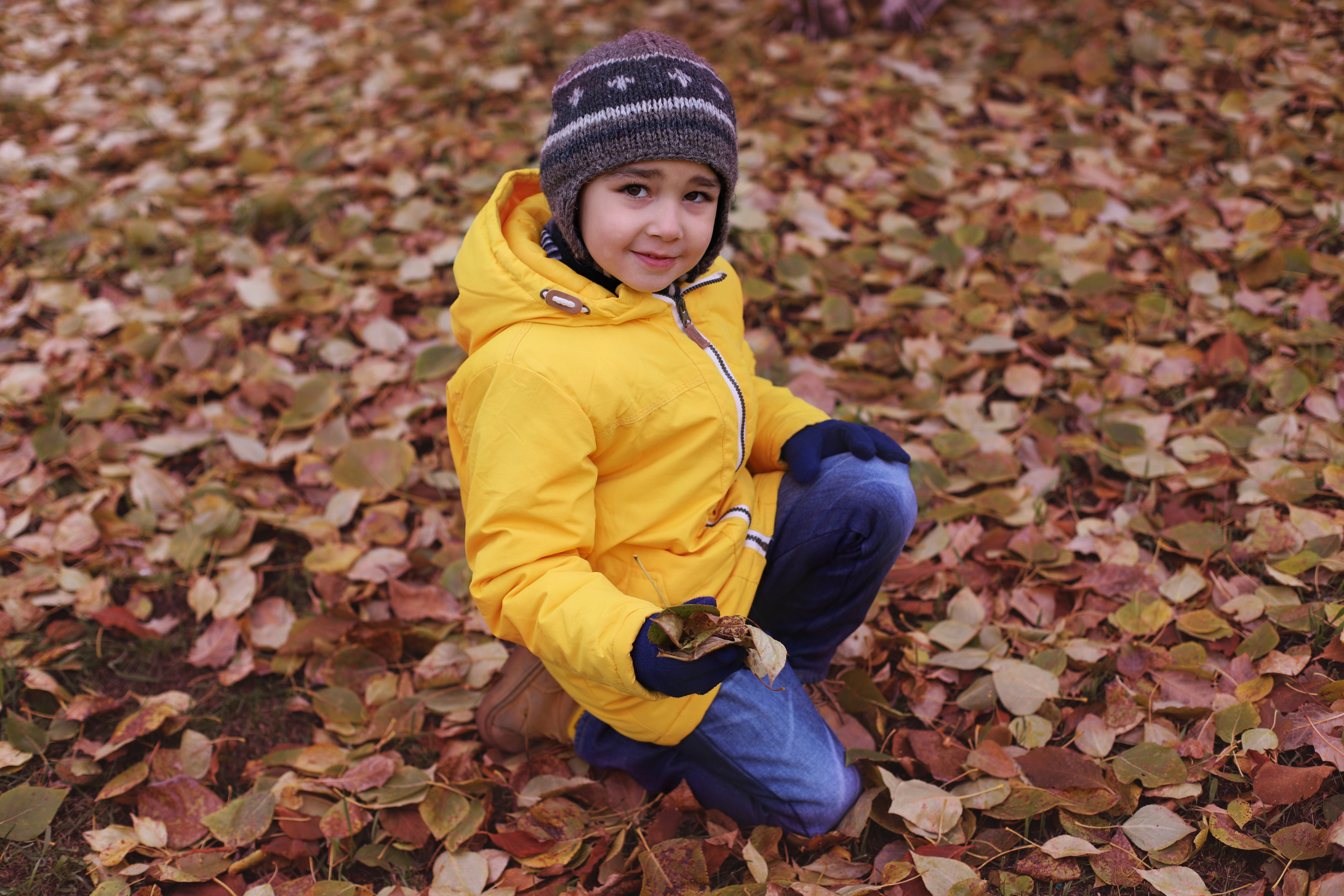 Желтая осень. Семейный и детский фотограф в Красноярске Анна Шори
