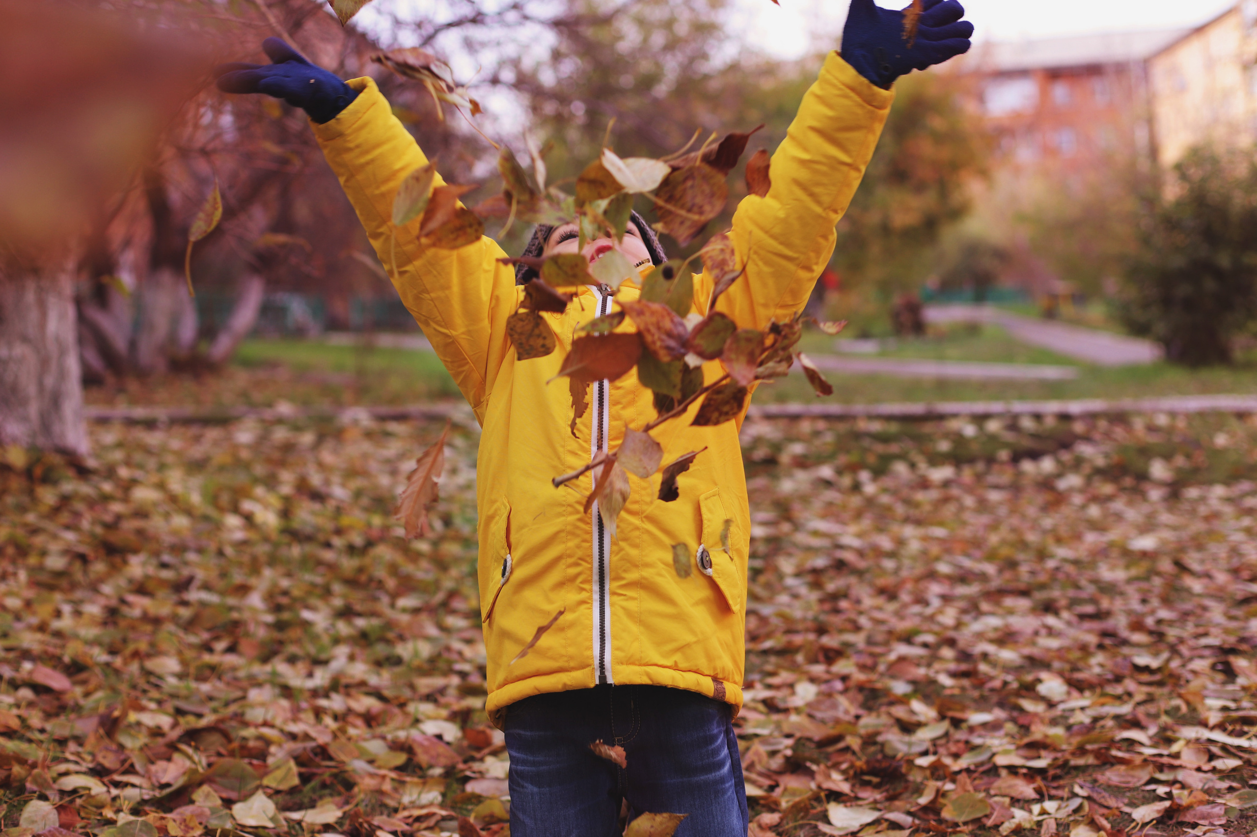 Желтая осень. Семейный и детский фотограф в Красноярске Анна Шори