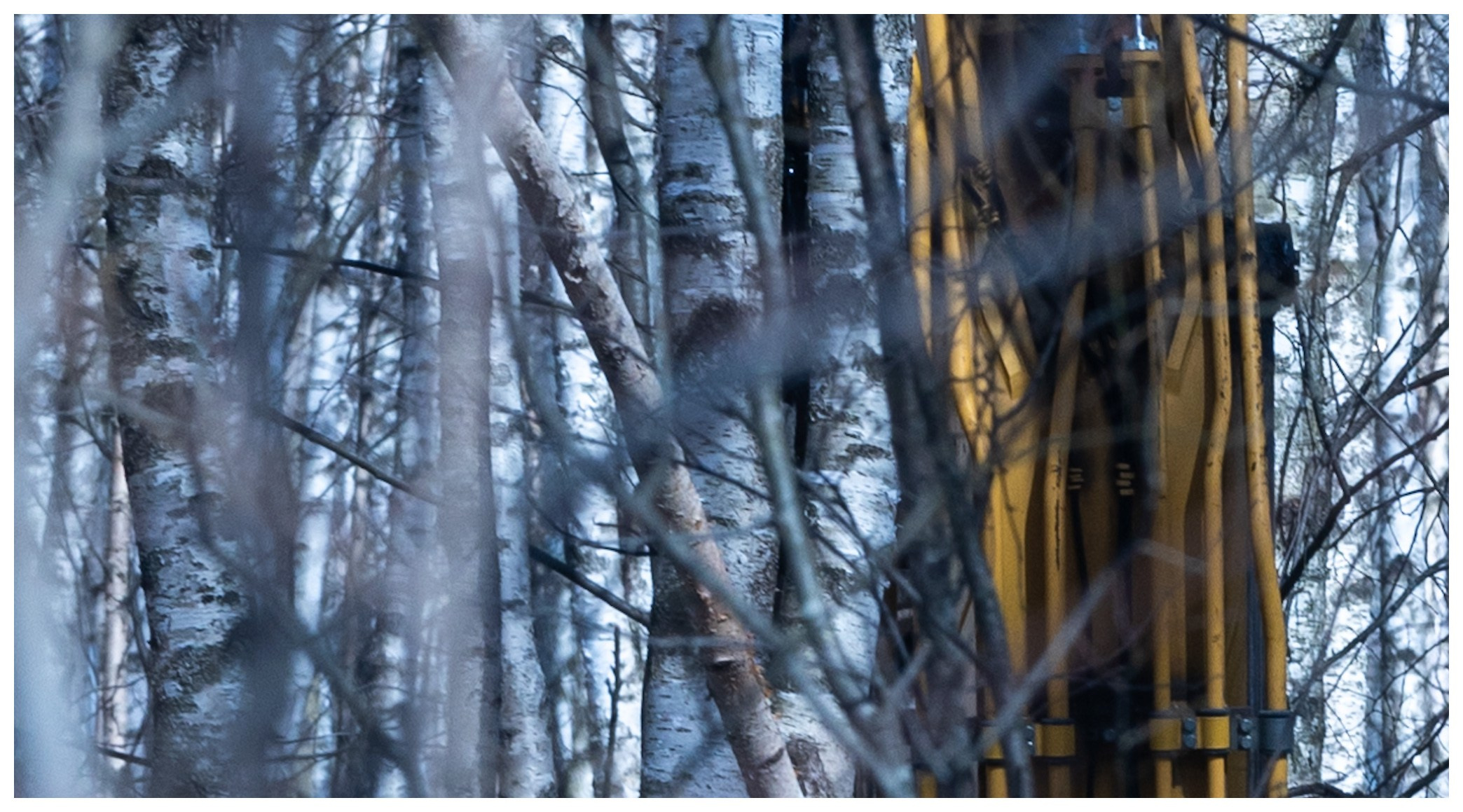 Spring. Photo project