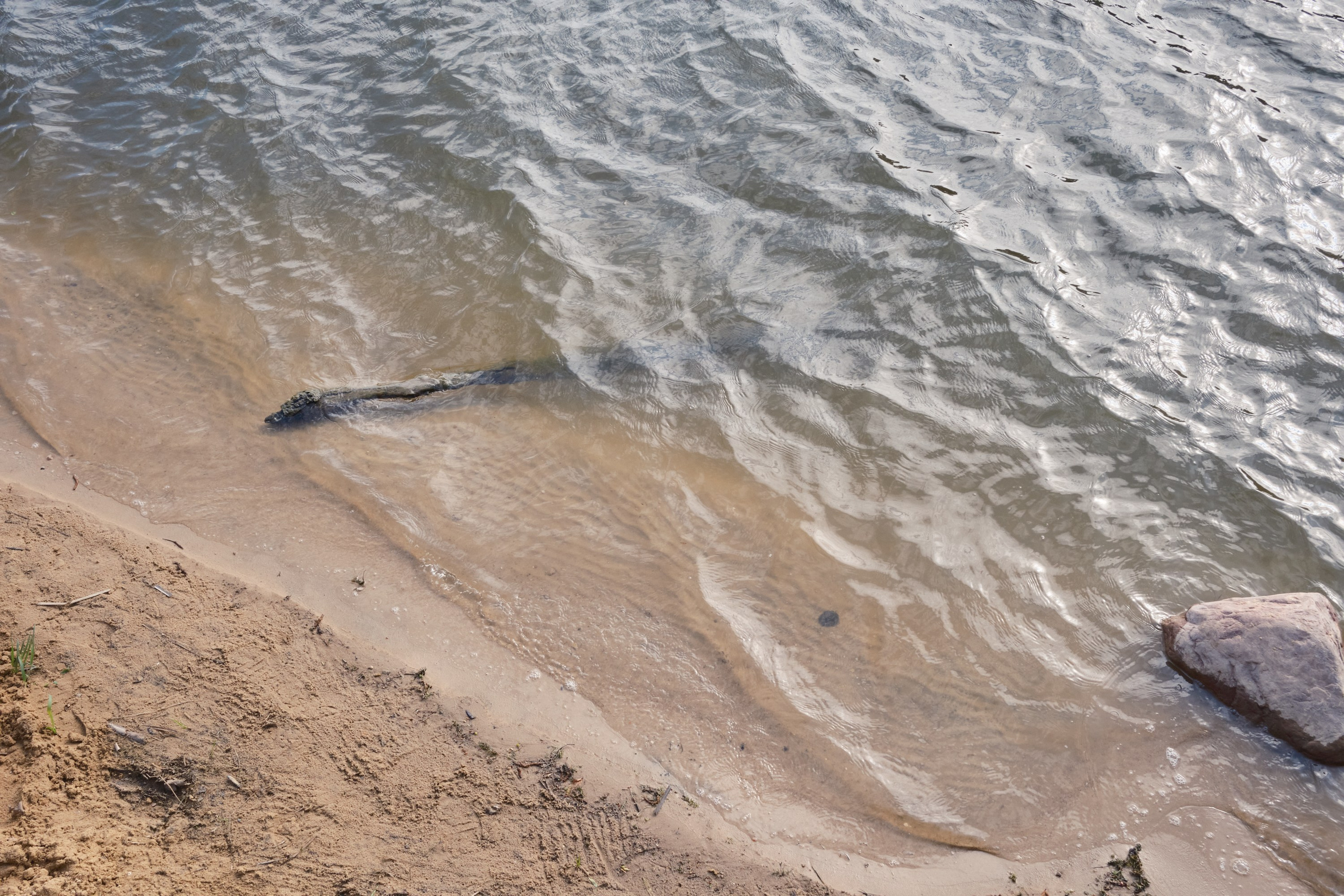 Парк Синичка | Красногорск. Фотографъ Сергѣевъ. Поймать мгновеніе