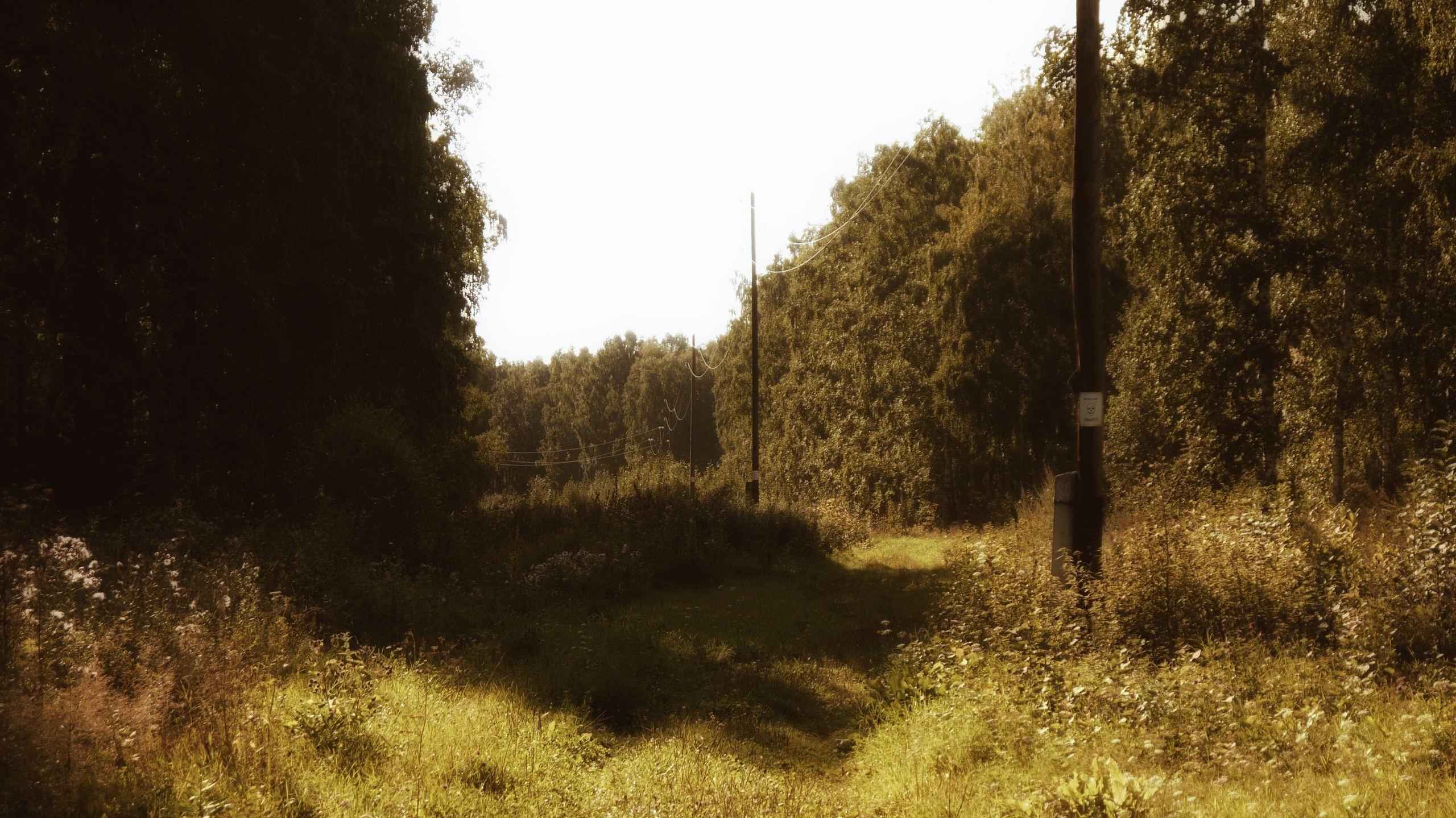 Этот прекрасный мир