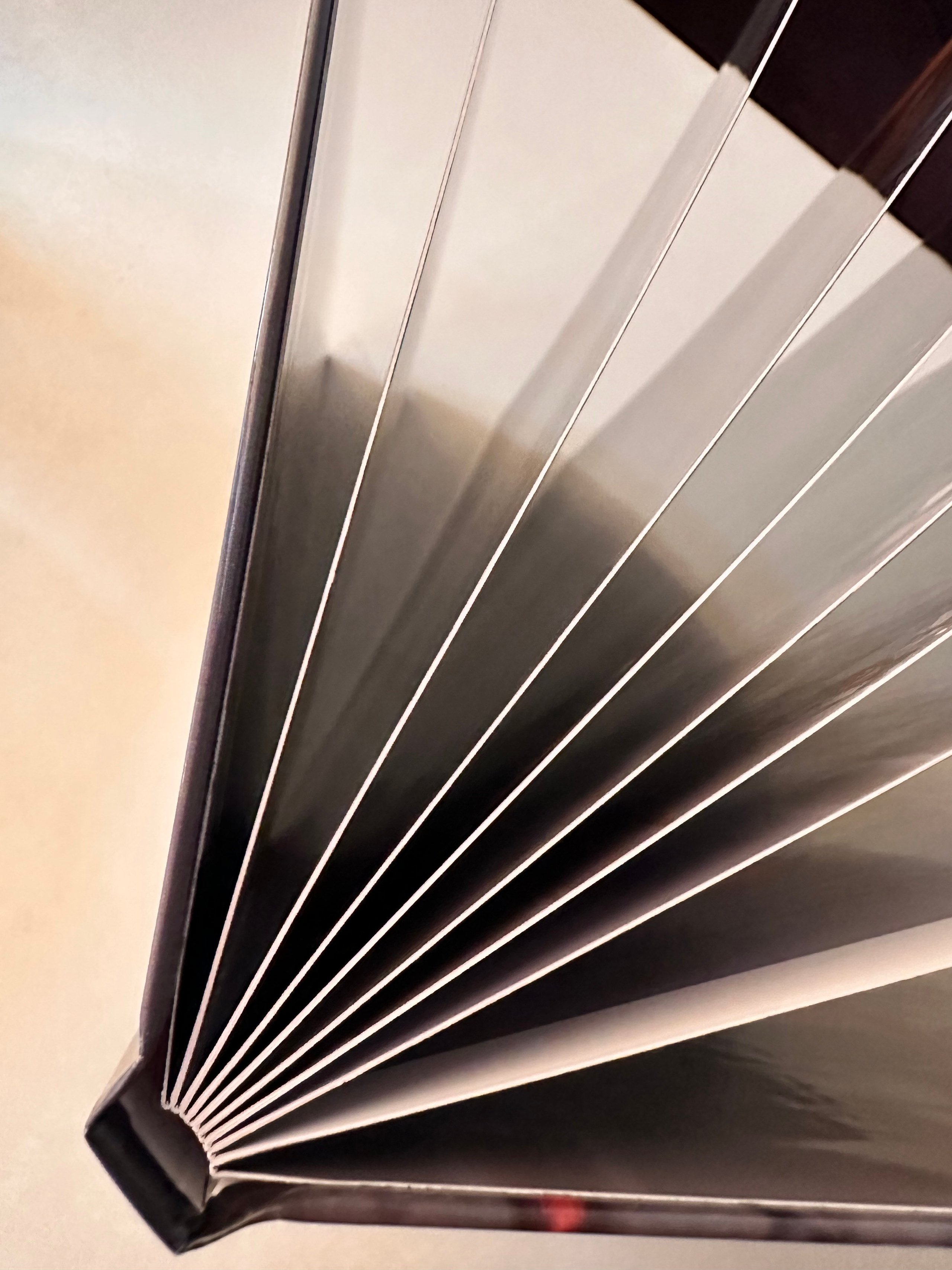 Книга семейная новогодняя 21*30. Фотограф г. Пенза — Светлана Зойкина