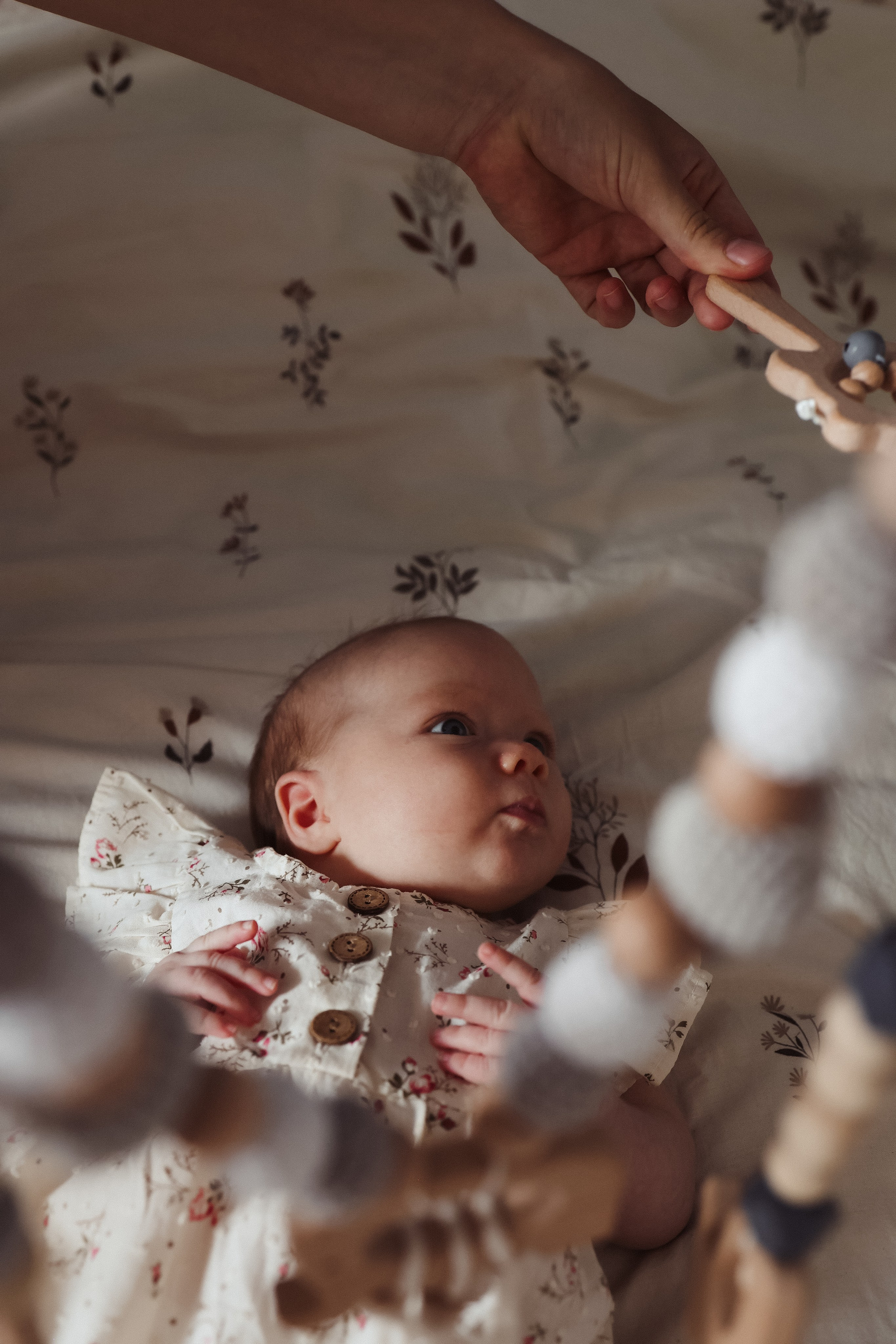 Семейная. Семейный фотограф Колосова Полина