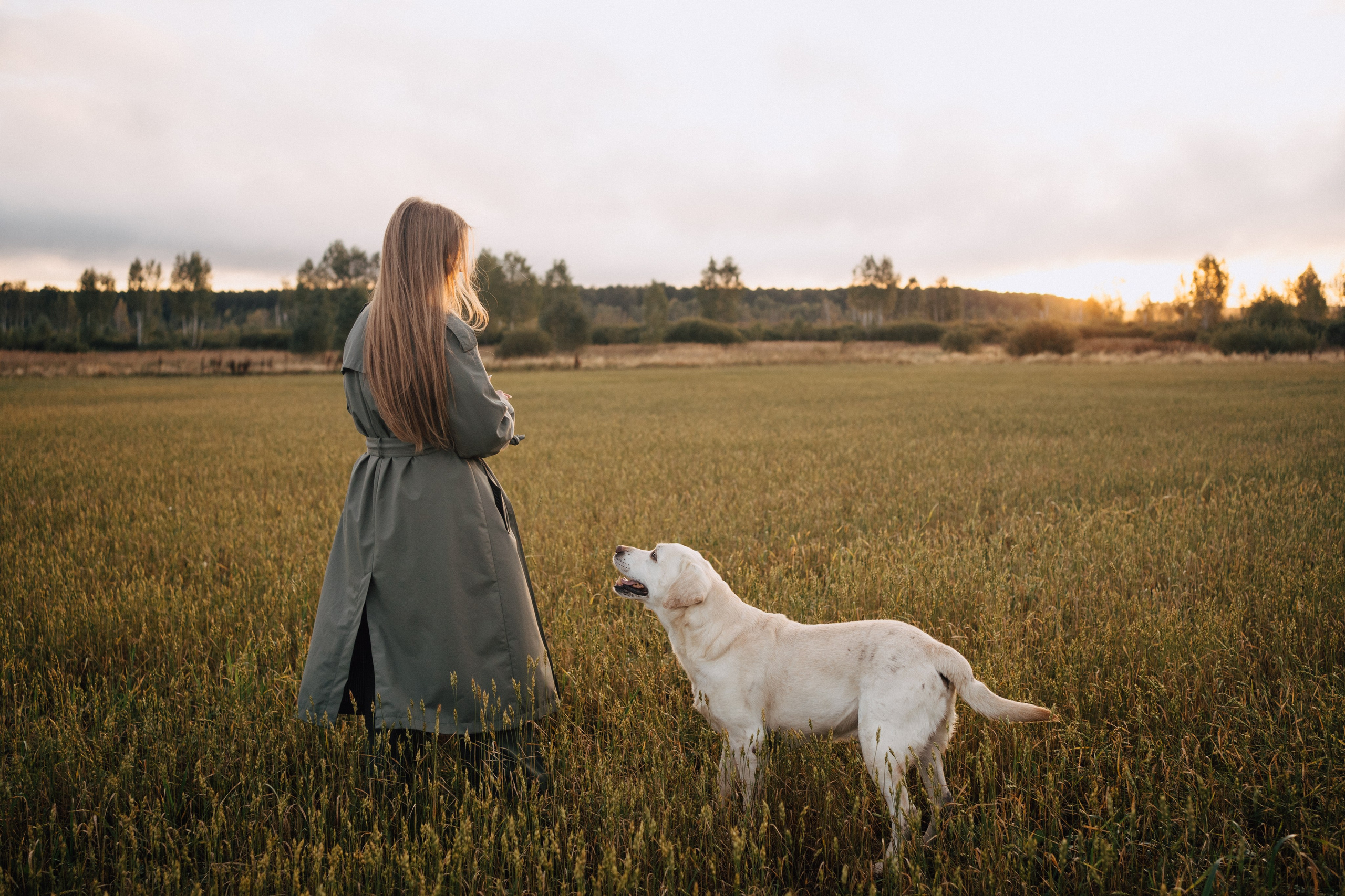 Дана и Арчи. Фотограф-анималист Анастасия Большакова