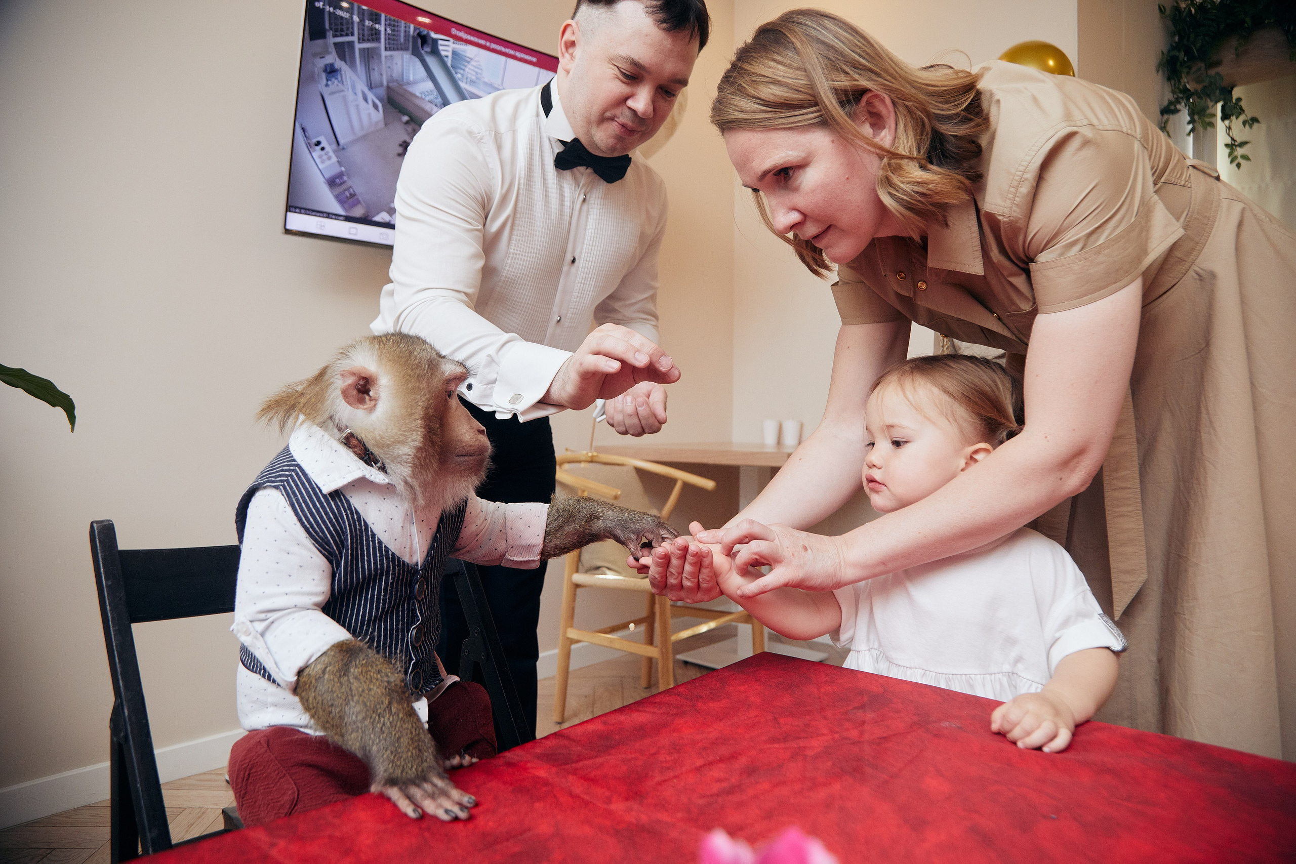 Катя — 2 года. Репортажный фотограф в Москве Константин Дерягин