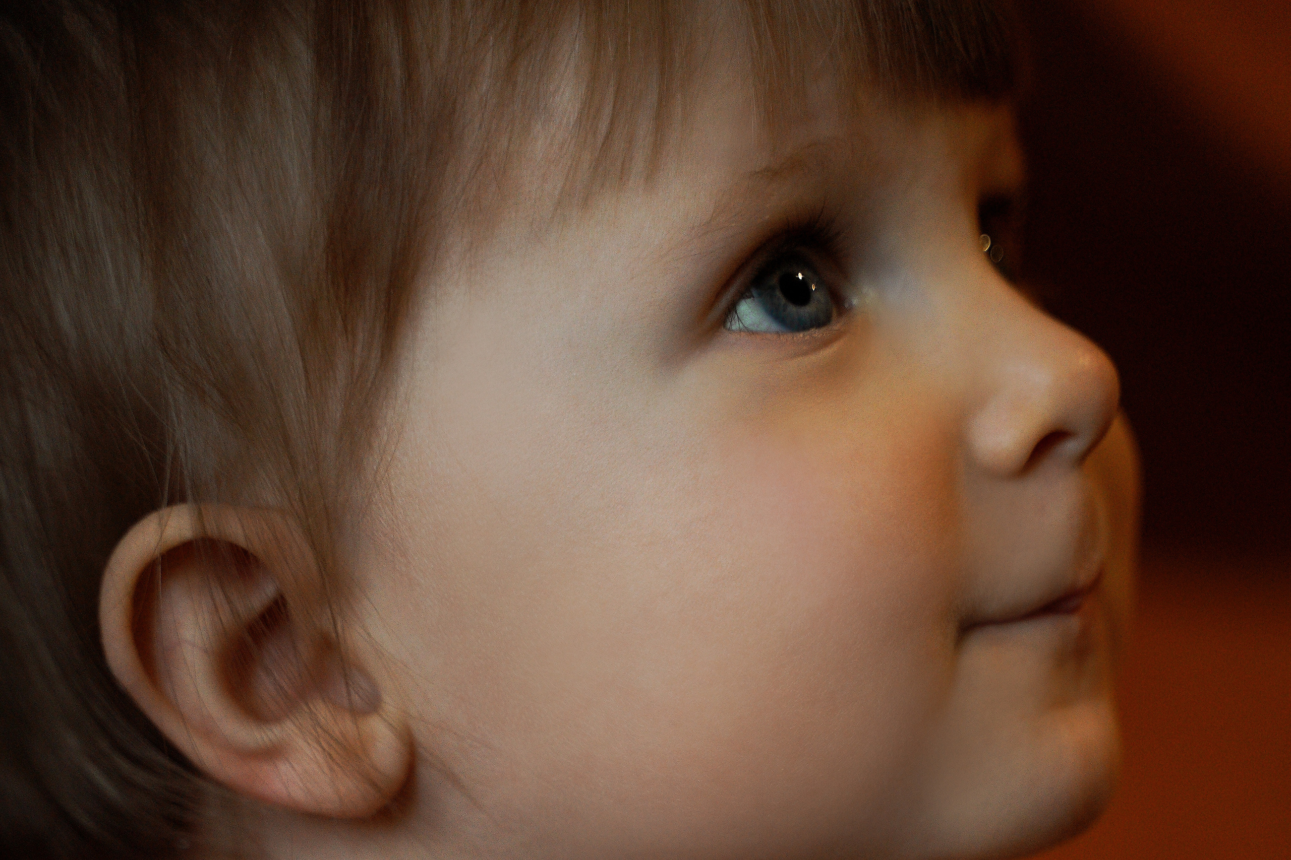 СЕМЕЙНЫЕ ЦЕННОСТИ. Профессиональный фотограф Виктория Соломкина. Майкоп-ЮФО