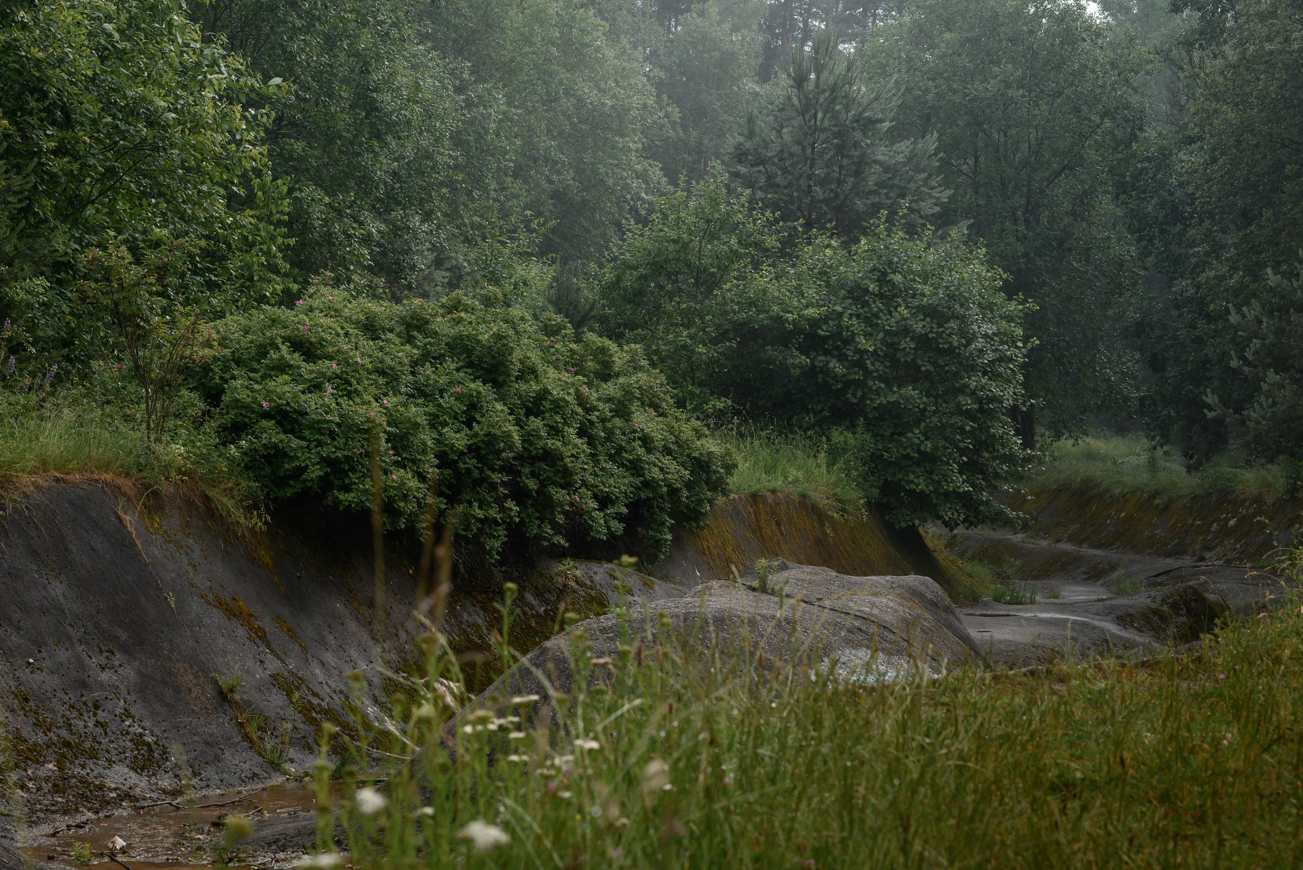 Места. Фотограф в Минске Дарья Кончакова