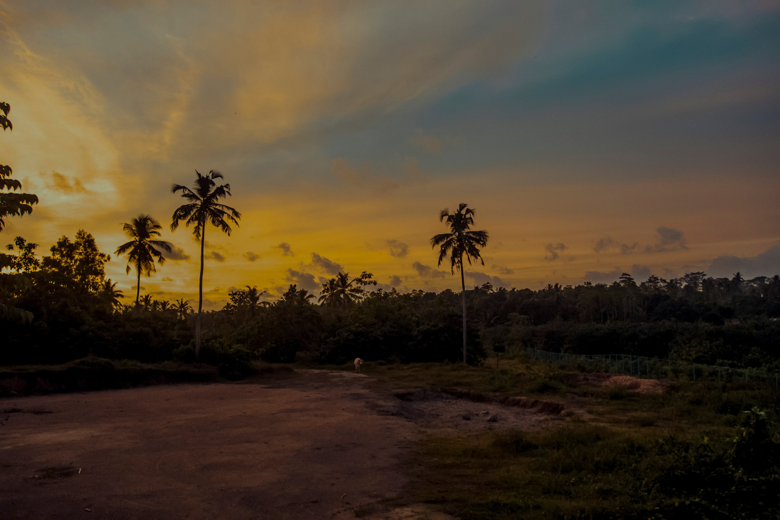 Sri Lanka. Art Photographer