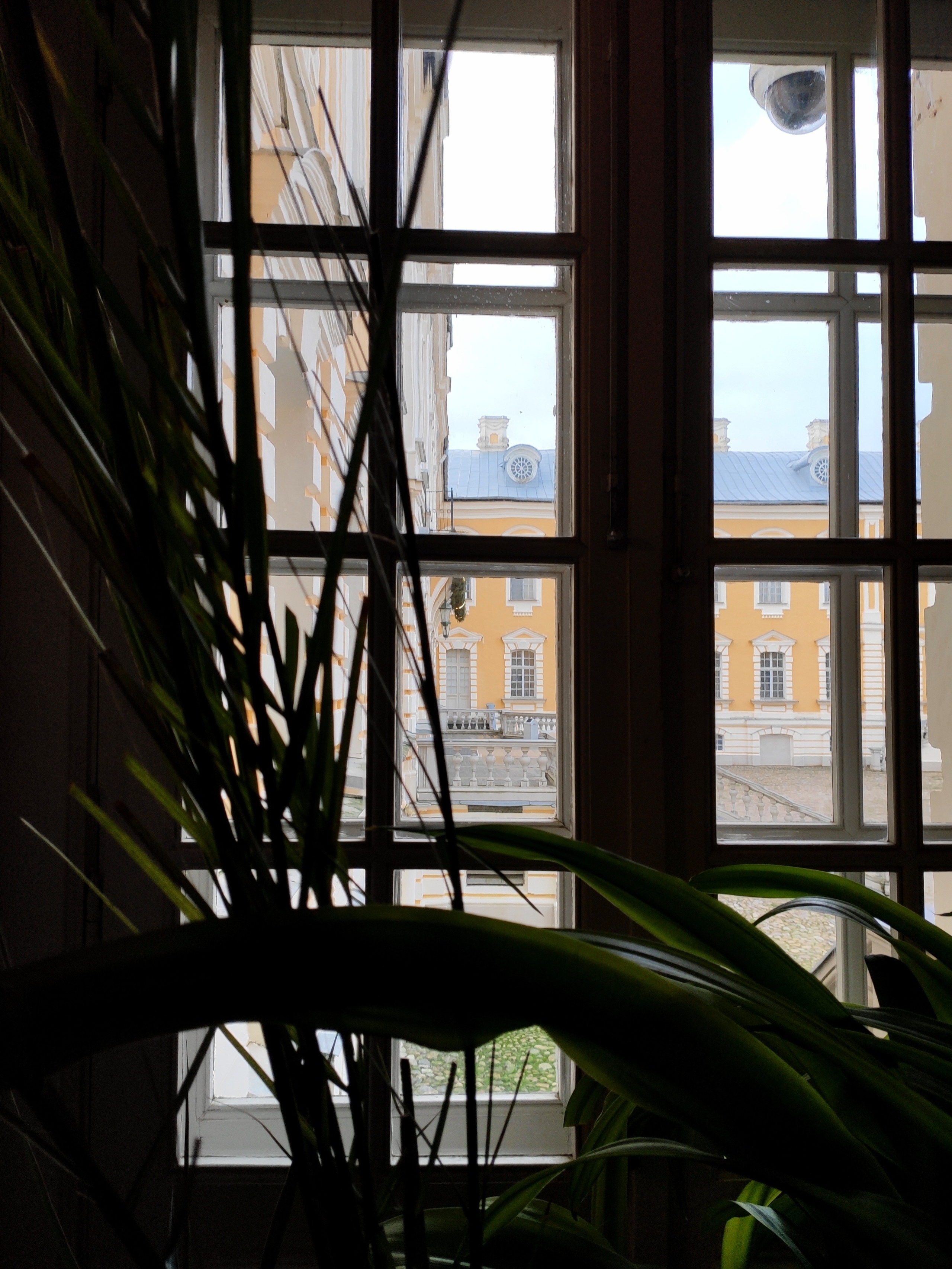 01/20. Юрмала. Walk & Fly with Batay