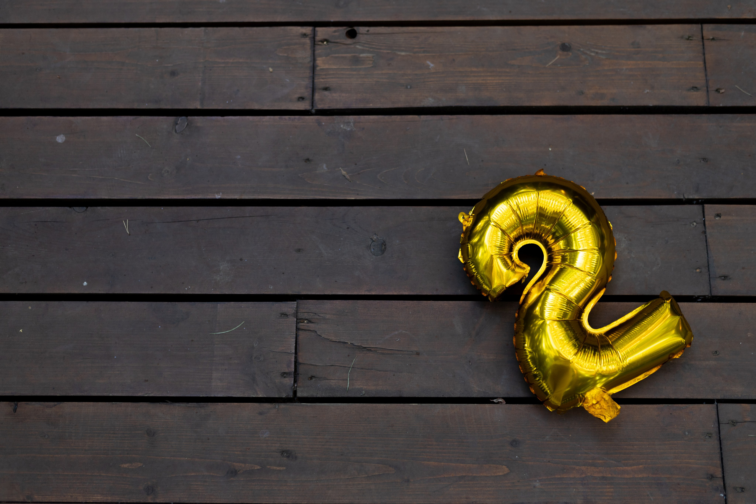 Алина и Ульяна. Свадебный фотограф | Москва