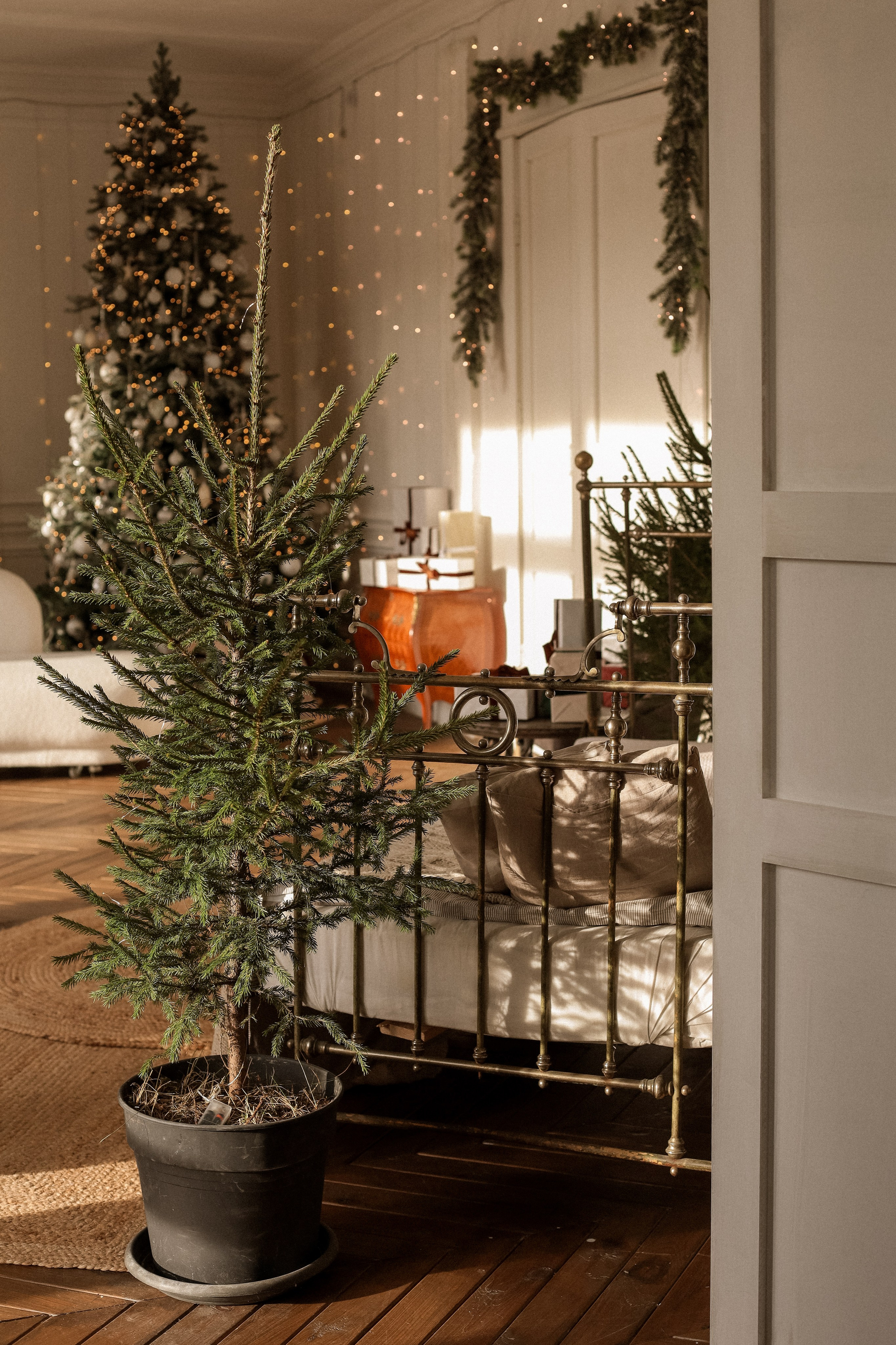 Новогодние 2025-2026. Семейный фотограф Тюмень Смирнова Юлия