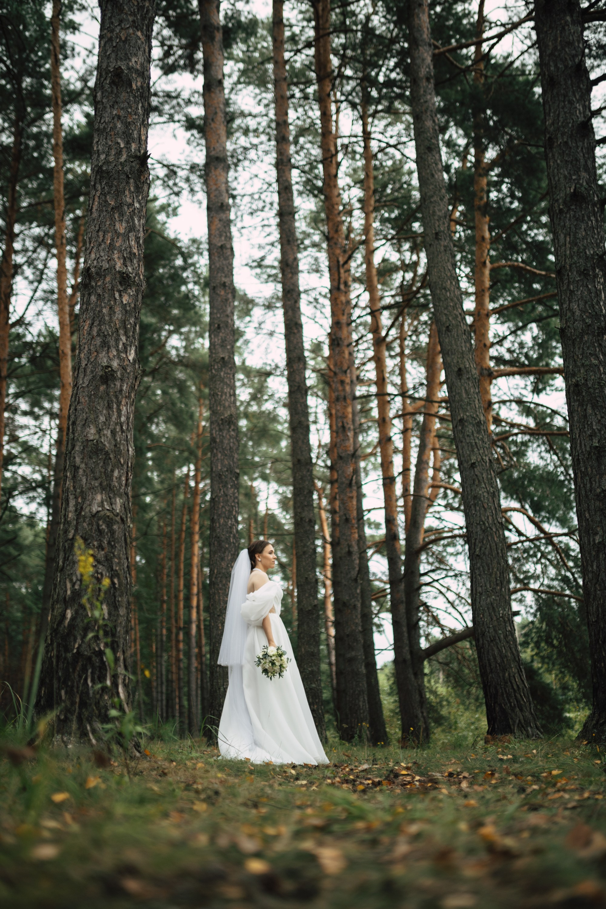 Лиза и Степа. Свадебный фотограф Александр Савченко Смоленск