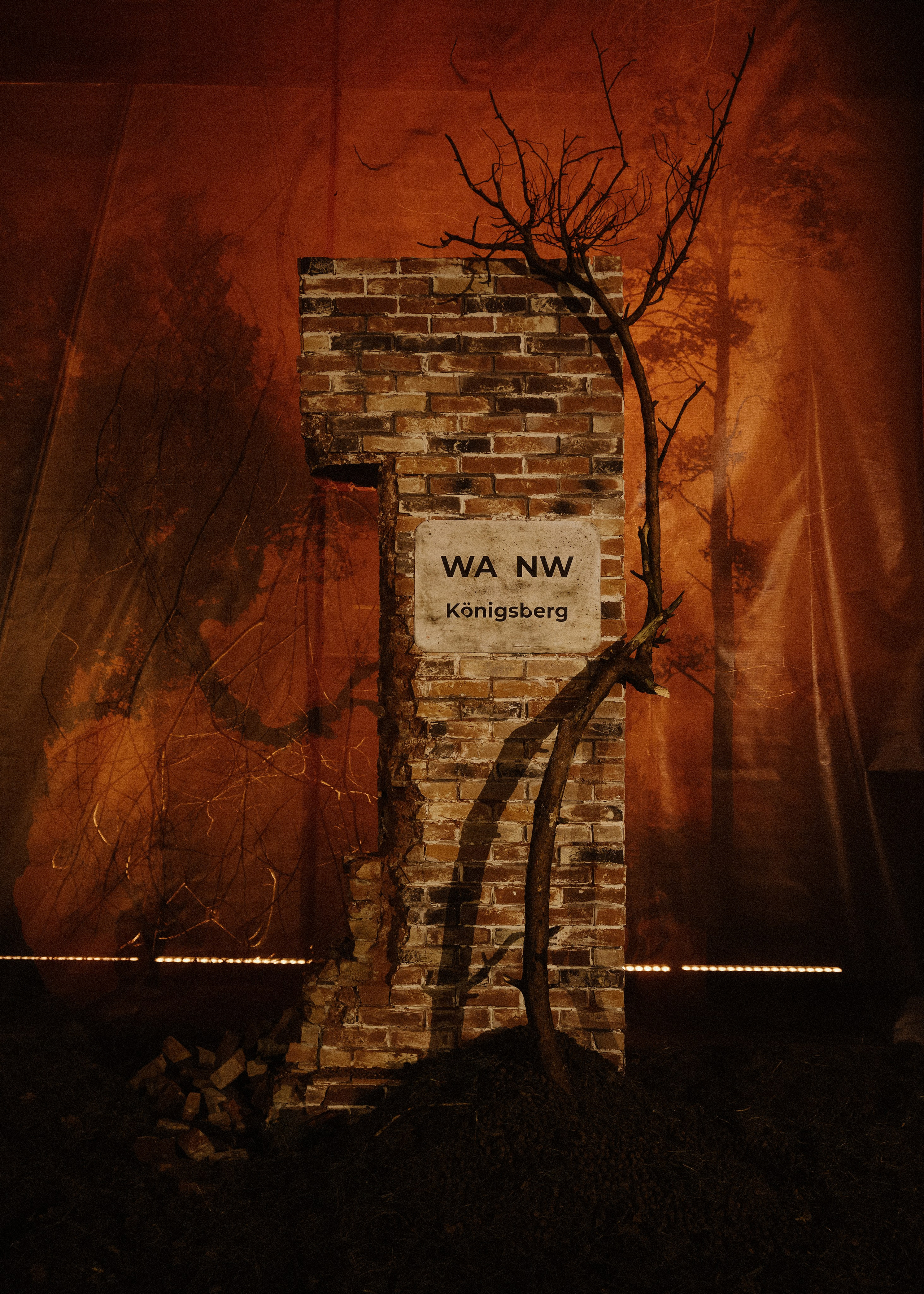 Wedding Awards Северо-Запад. Свадебный и репортажный фотограф в Москве Владимир Сергеев | Naysaikolo