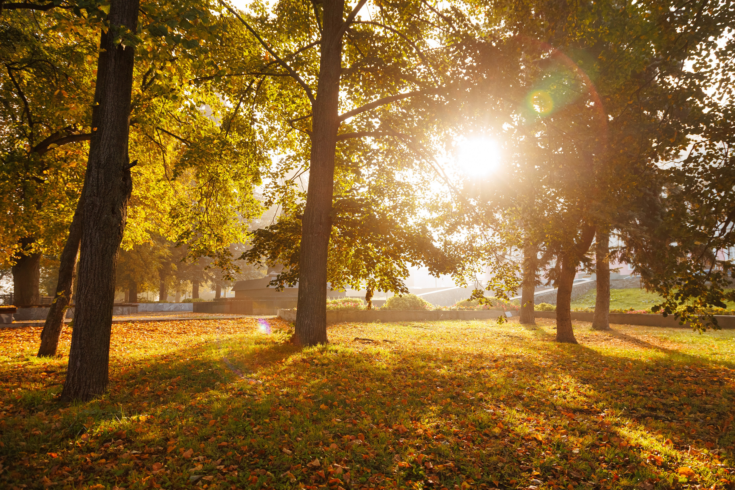 Arch. Промышленный фотограф в Перми и Екатеринбурге Сергей Петровых
