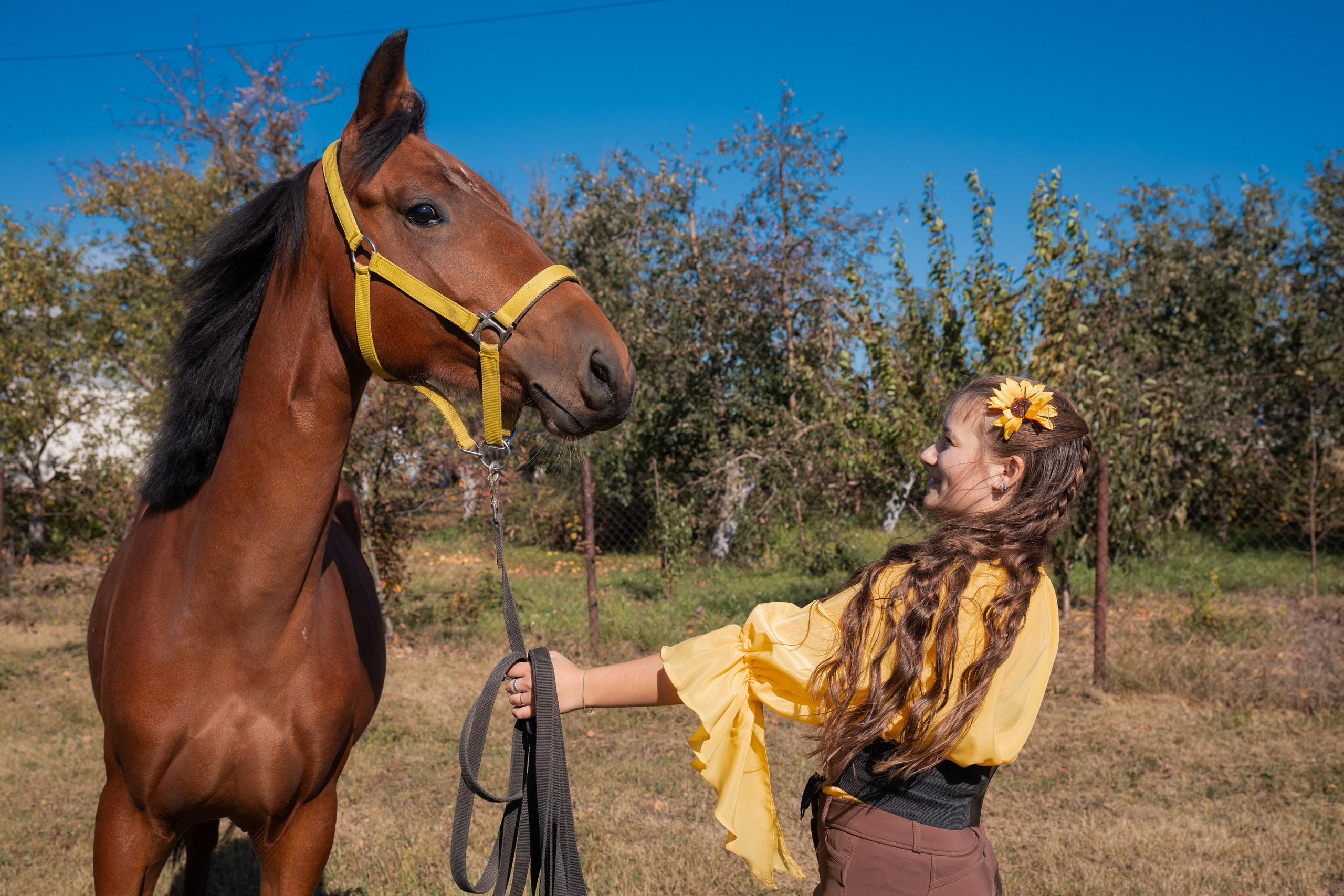 Фотосессия с лошадьми